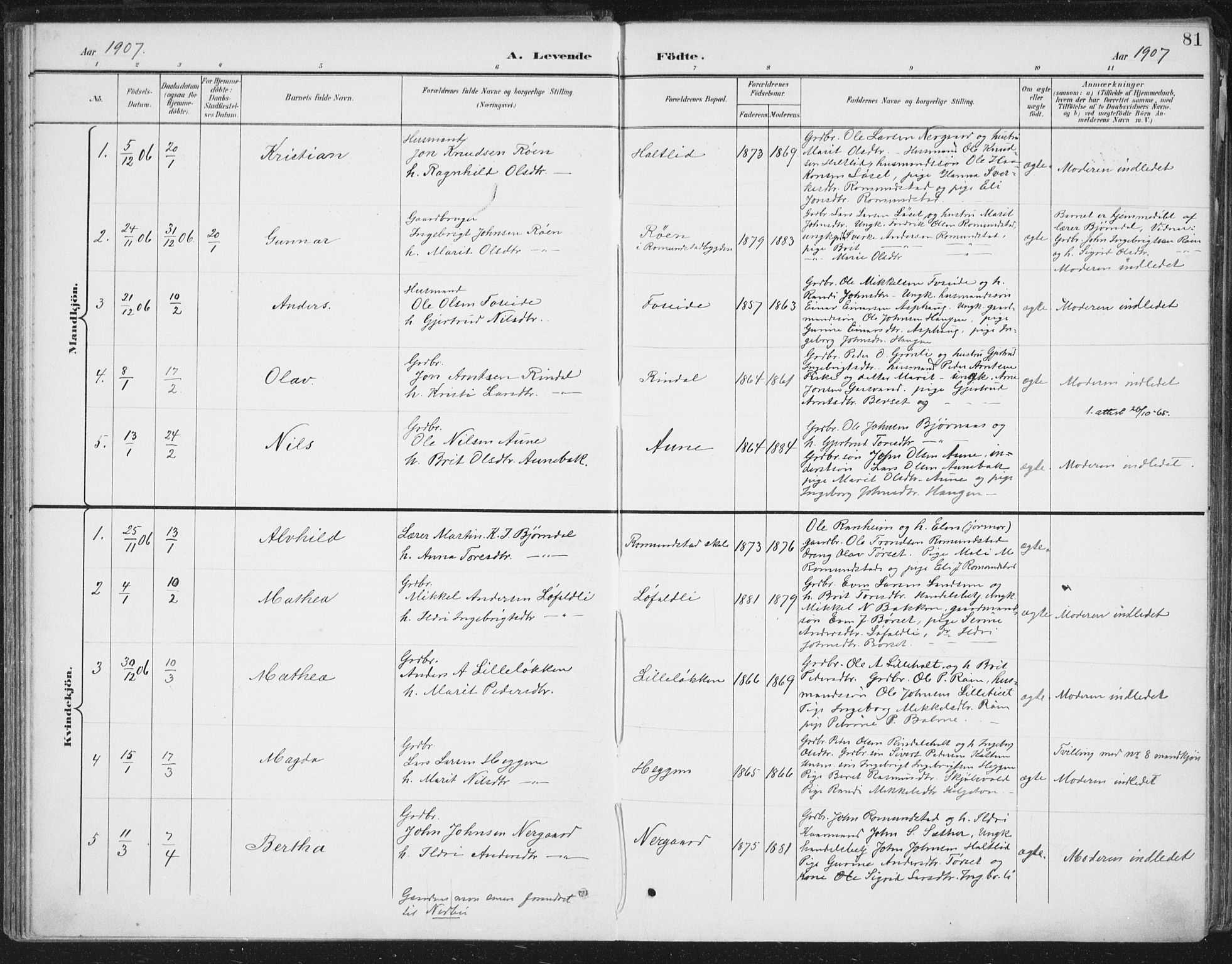 Ministerialprotokoller, klokkerbøker og fødselsregistre - Møre og Romsdal, AV/SAT-A-1454/598/L1072: Ministerialbok nr. 598A06, 1896-1910, s. 81