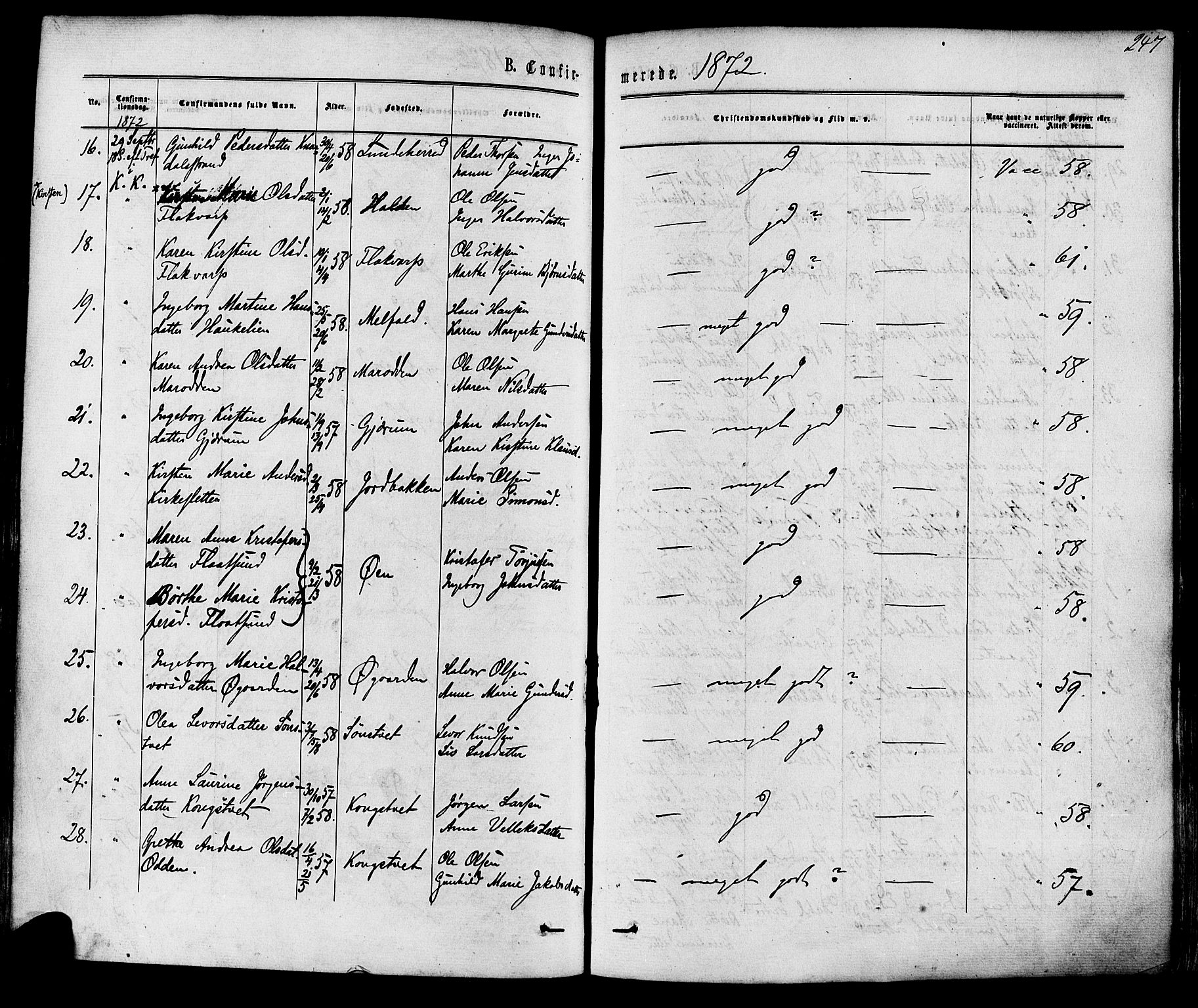 Solum kirkebøker, AV/SAKO-A-306/F/Fa/L0008: Ministerialbok nr. I 8, 1865-1876, s. 247