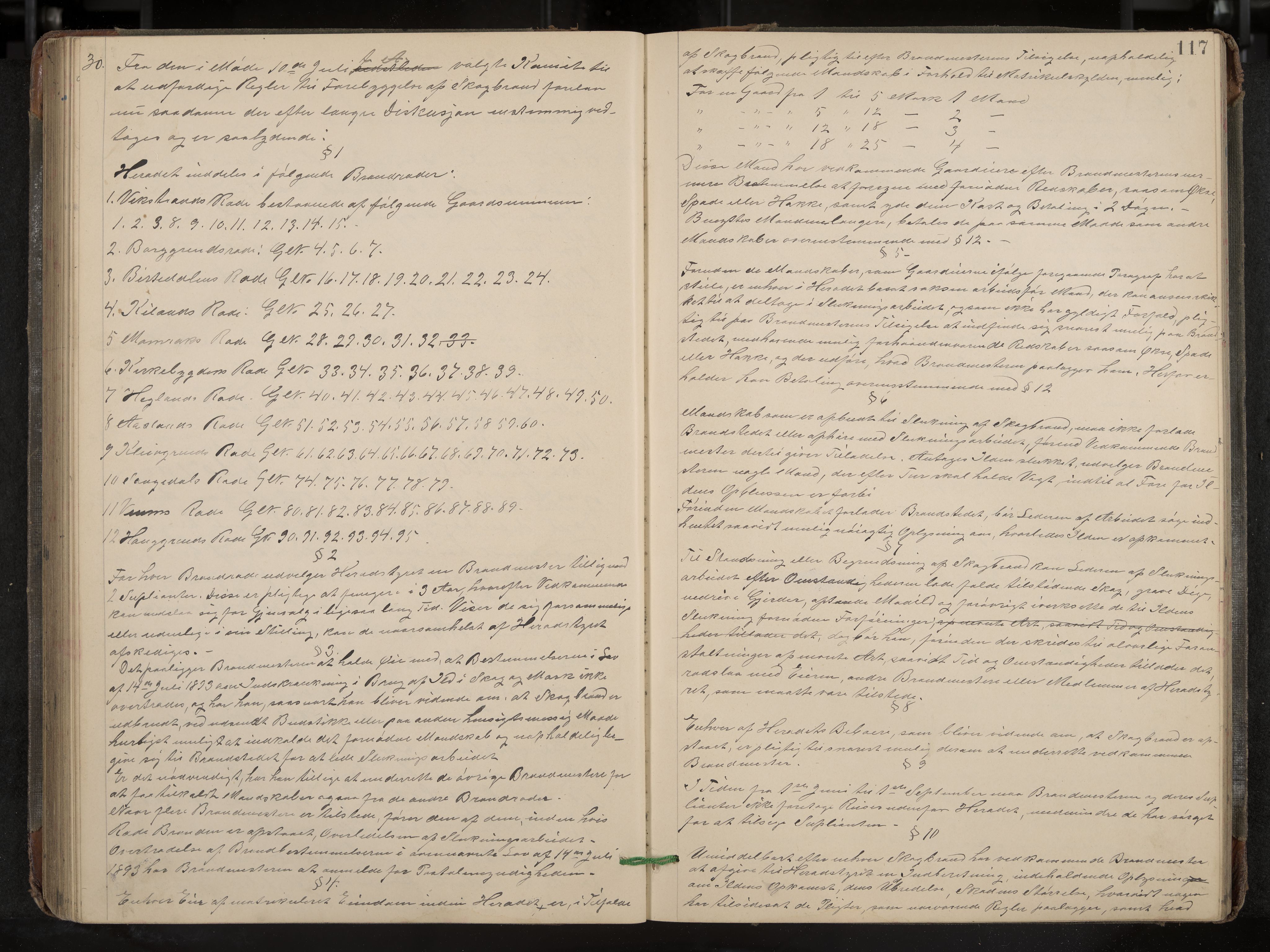 Fyresdal formannskap og sentraladministrasjon, IKAK/0831021-1/Aa/L0003: Møtebok, 1894-1903, s. 117