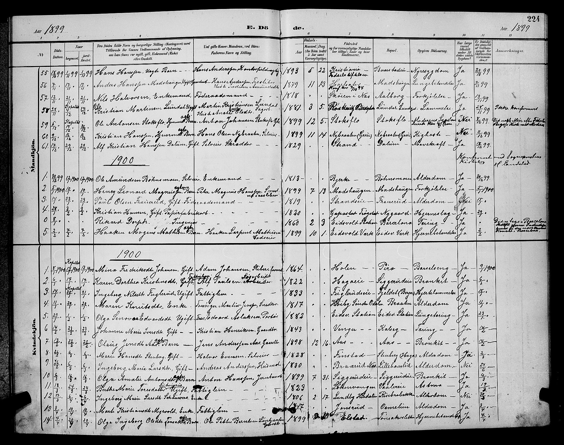 Eidsvoll prestekontor Kirkebøker, AV/SAO-A-10888/G/Ga/L0006: Klokkerbok nr. I 6, 1895-1901, s. 224
