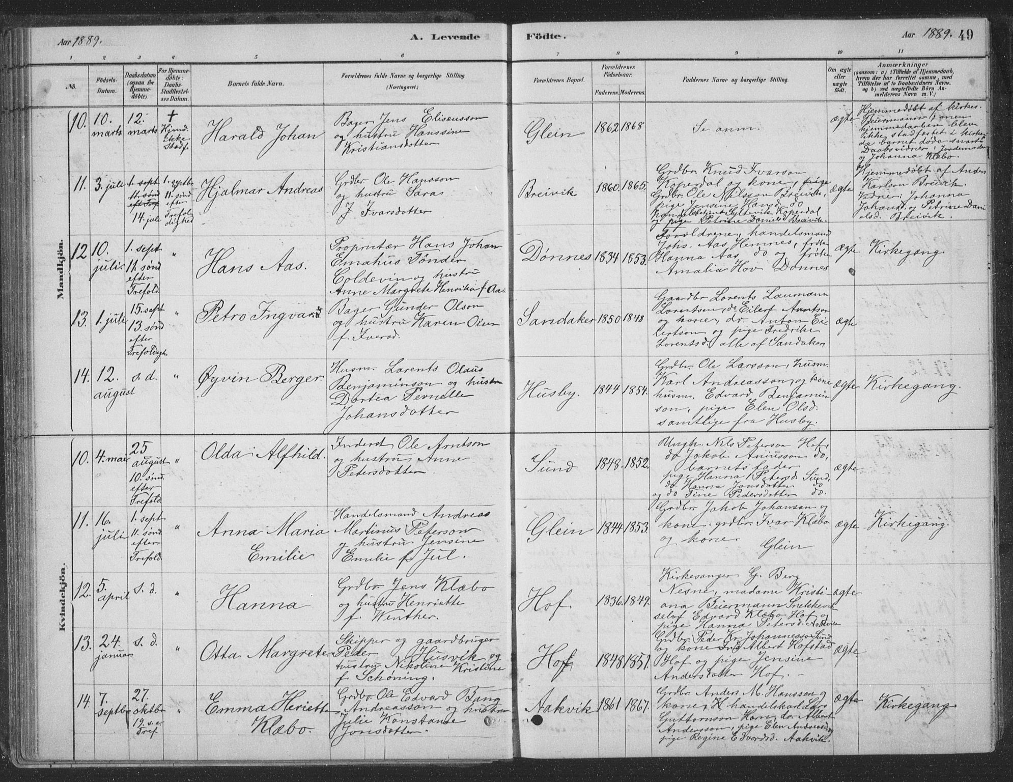 Ministerialprotokoller, klokkerbøker og fødselsregistre - Nordland, AV/SAT-A-1459/835/L0532: Klokkerbok nr. 835C04, 1880-1905, s. 49