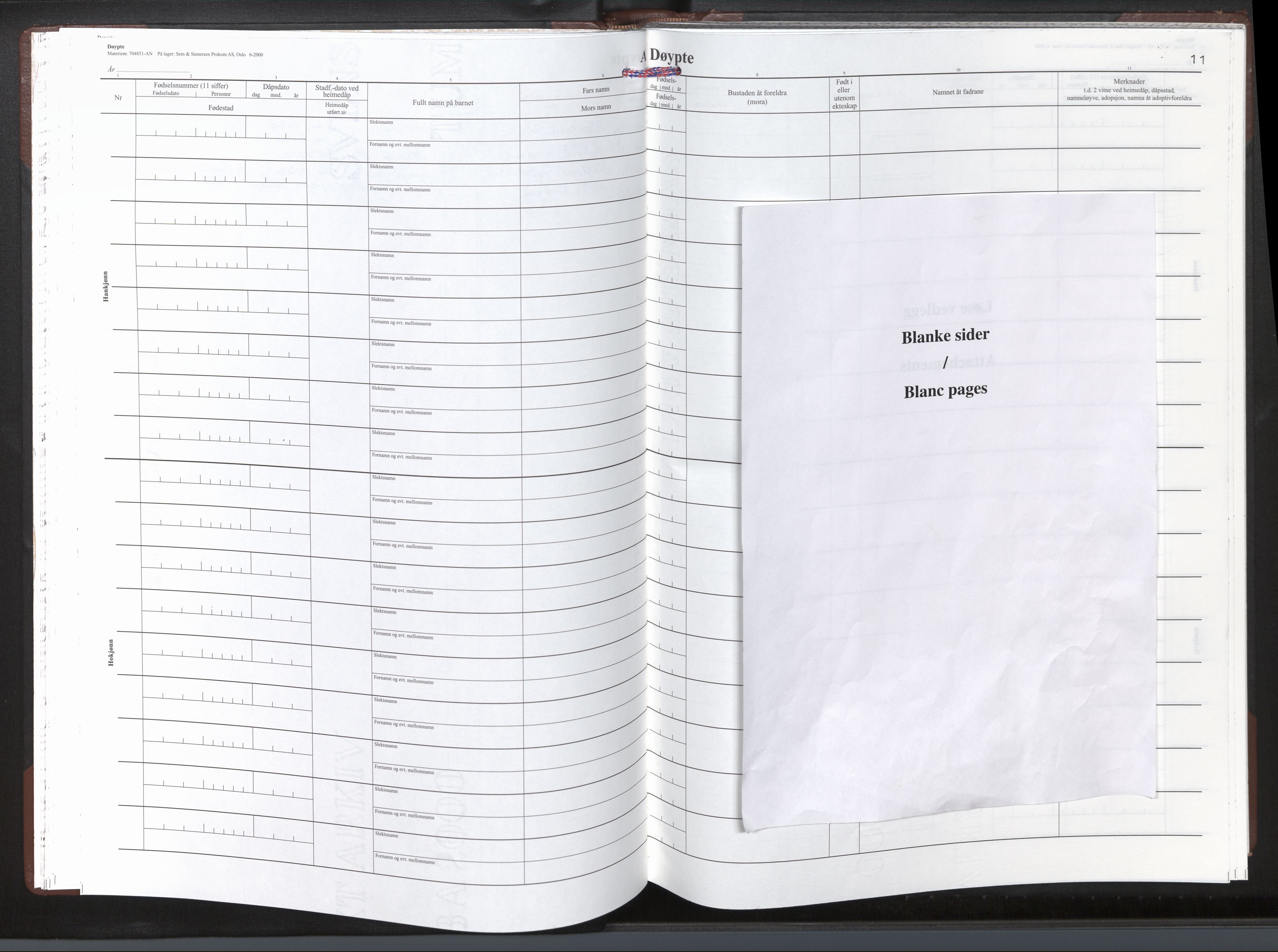 Gloppen sokneprestembete, AV/SAB-A-80101/H/Haa/Haad/L0006: Ministerialbok nr. D 6, 2006-2012, s. 10b-11a