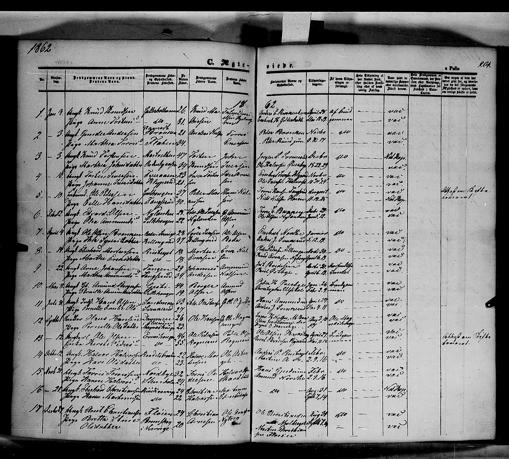 Våler prestekontor, Hedmark, AV/SAH-PREST-040/H/Ha/Haa/L0001: Ministerialbok nr. 1, 1849-1878, s. 204