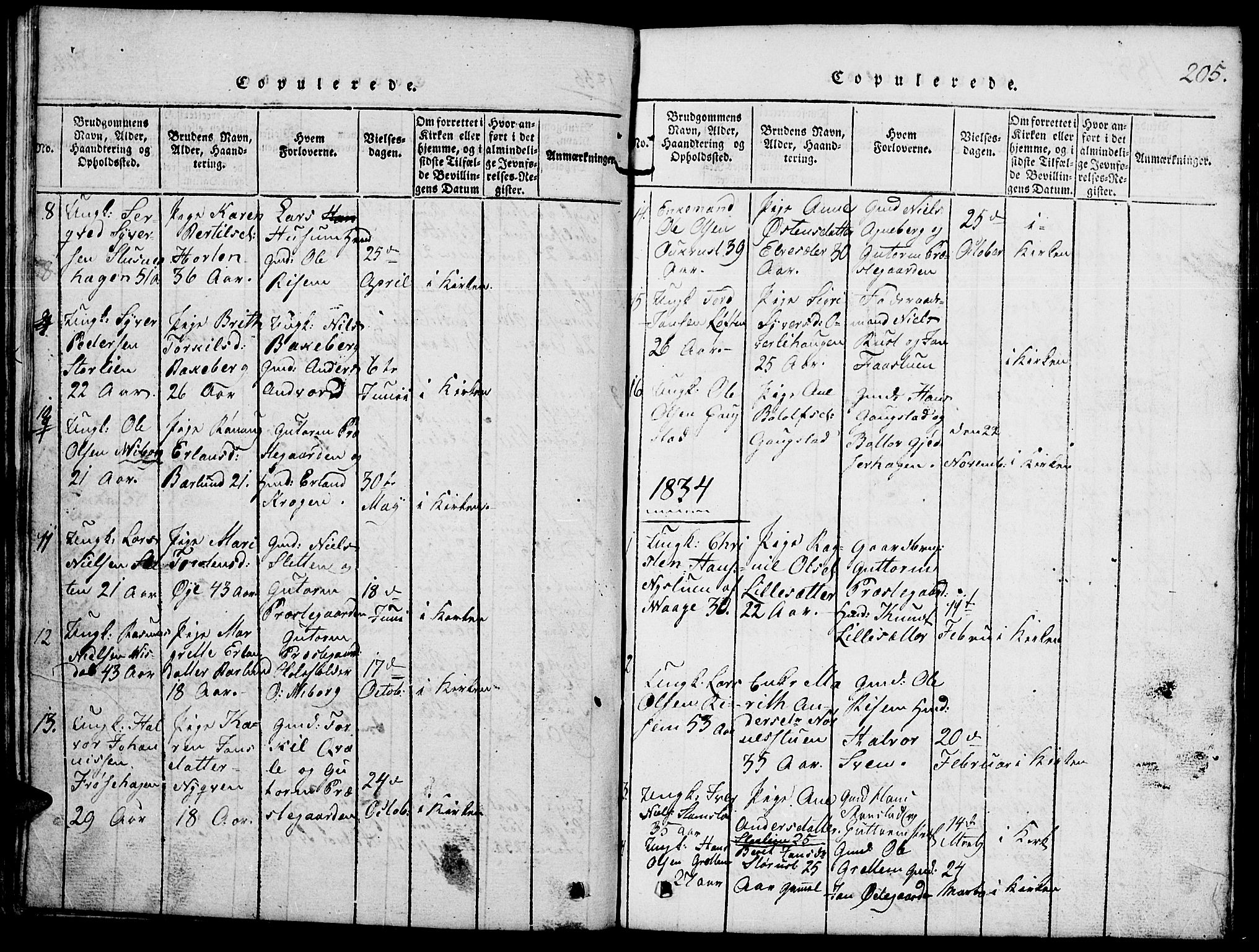 Lom prestekontor, AV/SAH-PREST-070/L/L0001: Klokkerbok nr. 1, 1815-1836, s. 205