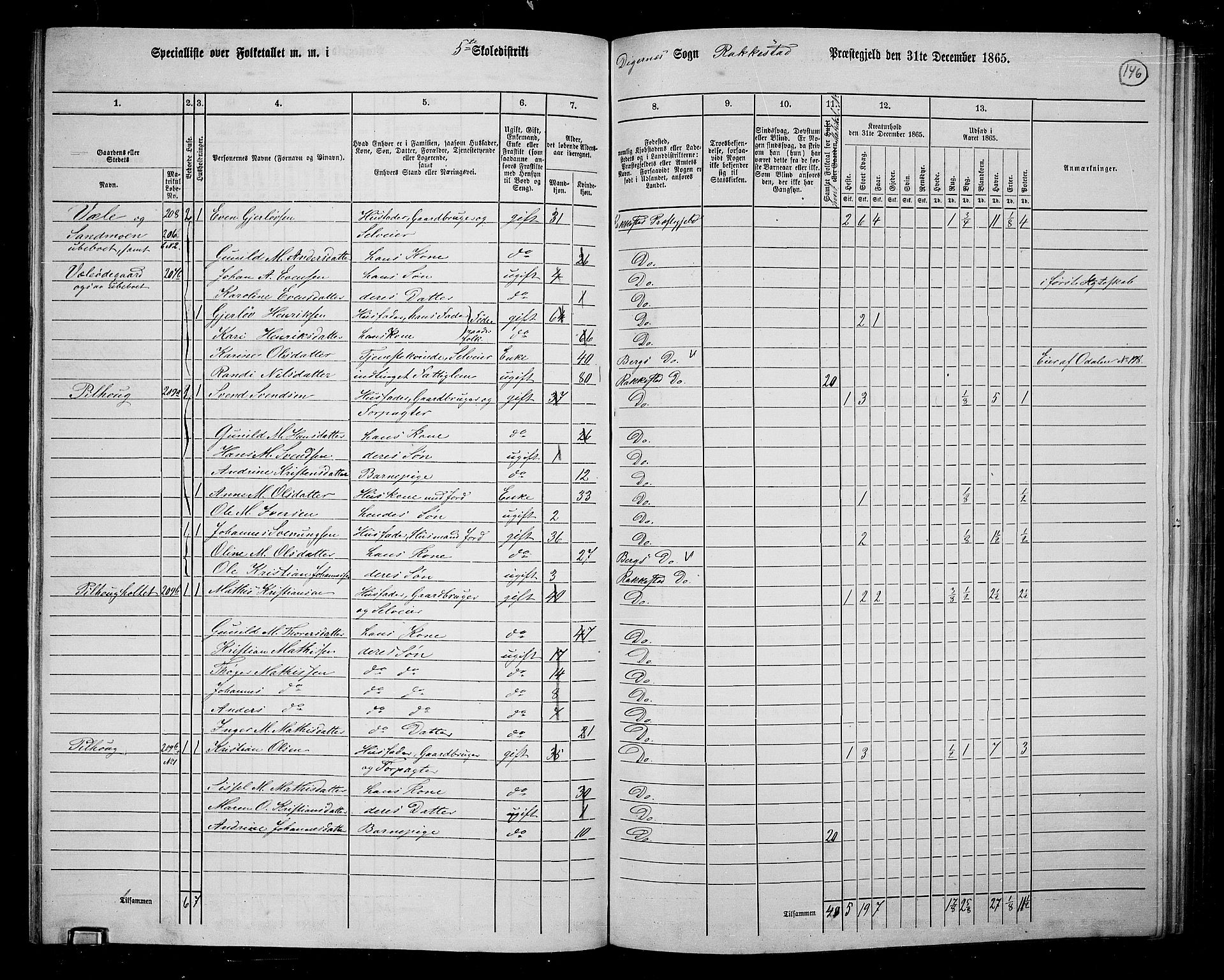 RA, Folketelling 1865 for 0128P Rakkestad prestegjeld, 1865, s. 144