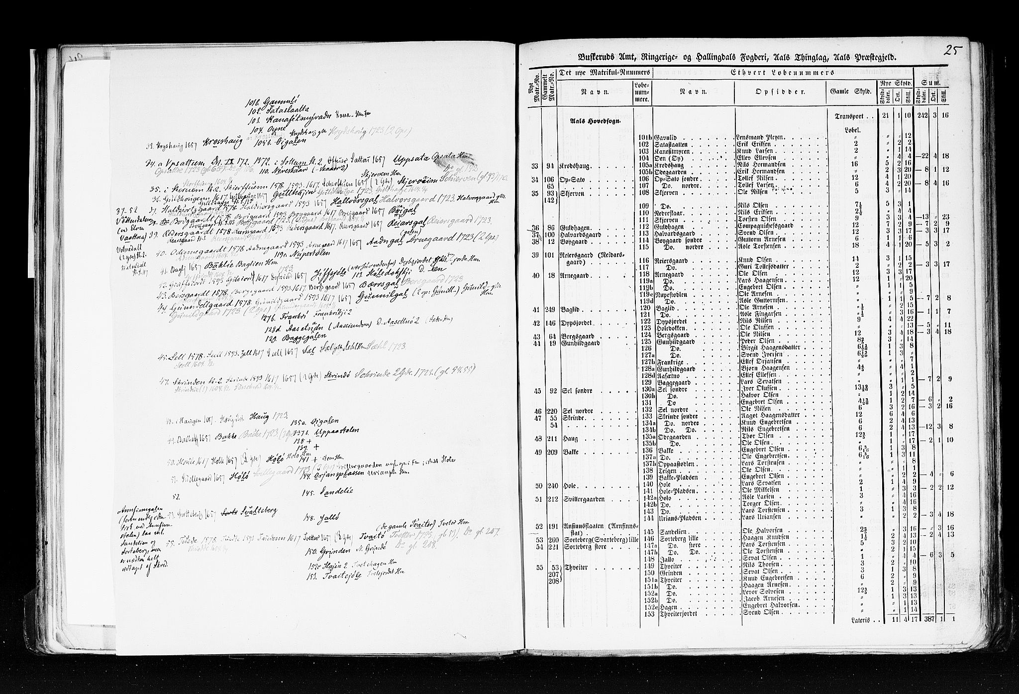 Rygh, AV/RA-PA-0034/F/Fb/L0005: Matrikkelen for 1838 - Buskerud amt (Buskerud fylke), 1838, s. 25a