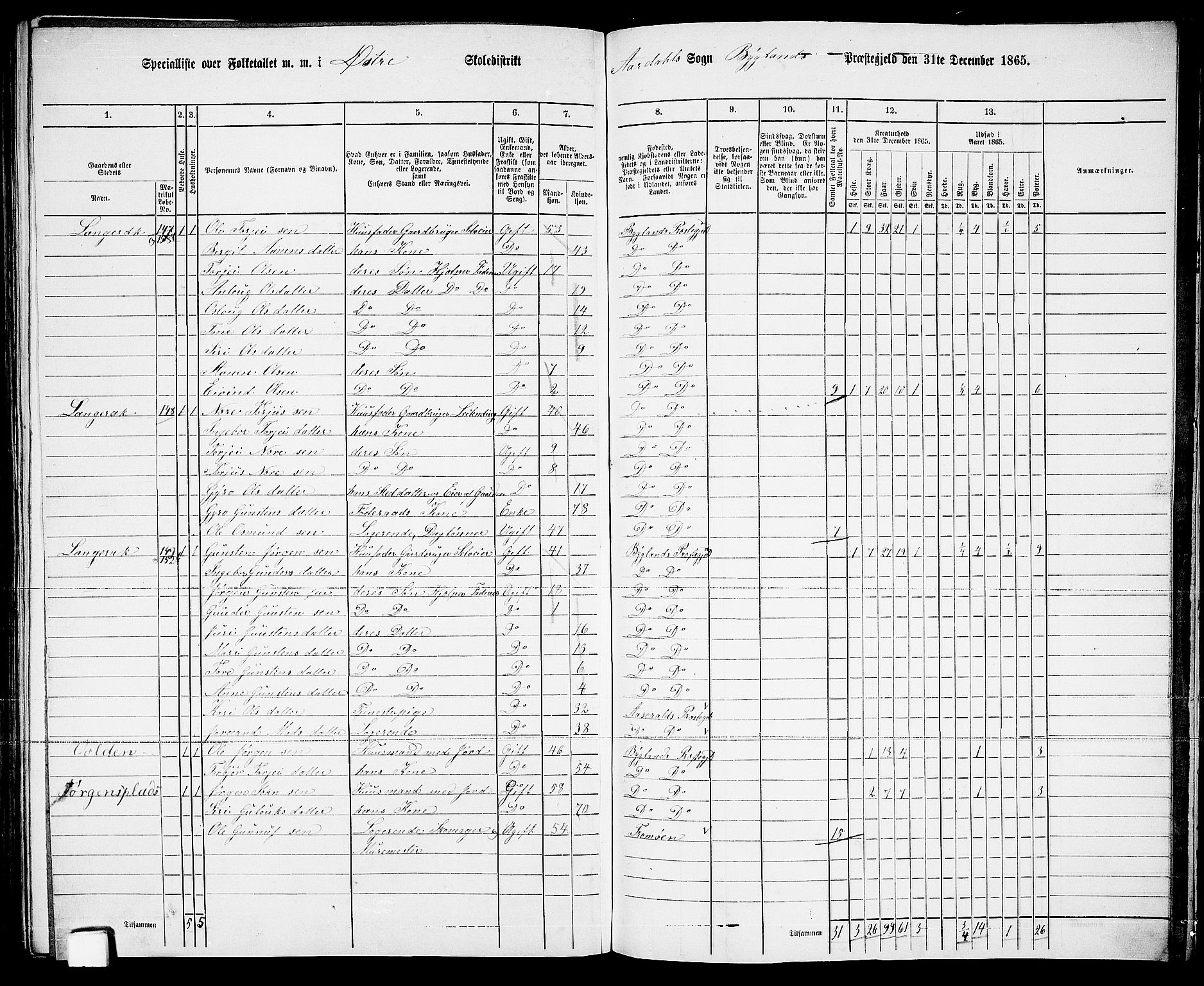 RA, Folketelling 1865 for 0938P Bygland prestegjeld, 1865, s. 80