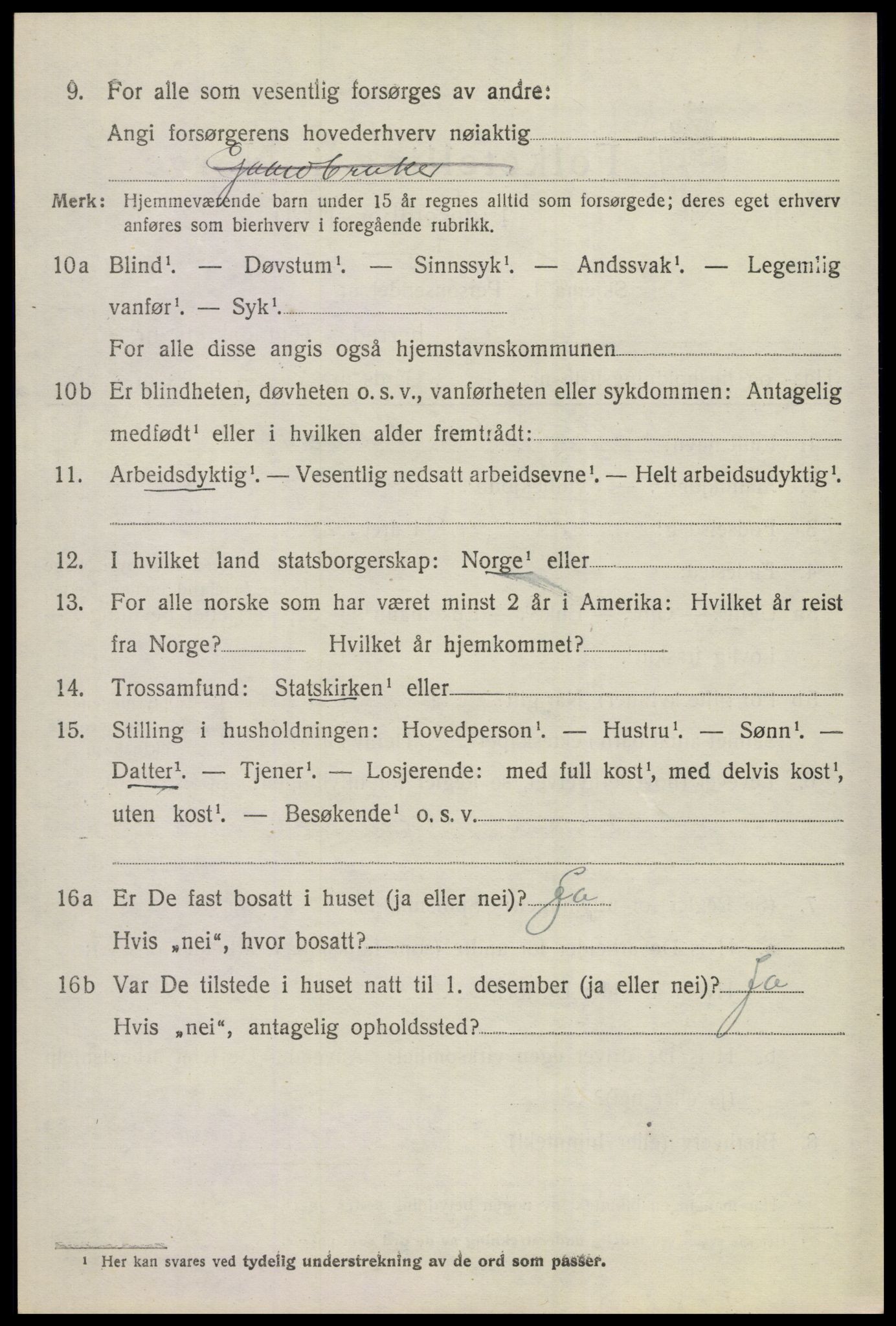 SAKO, Folketelling 1920 for 0617 Gol herred, 1920, s. 2197
