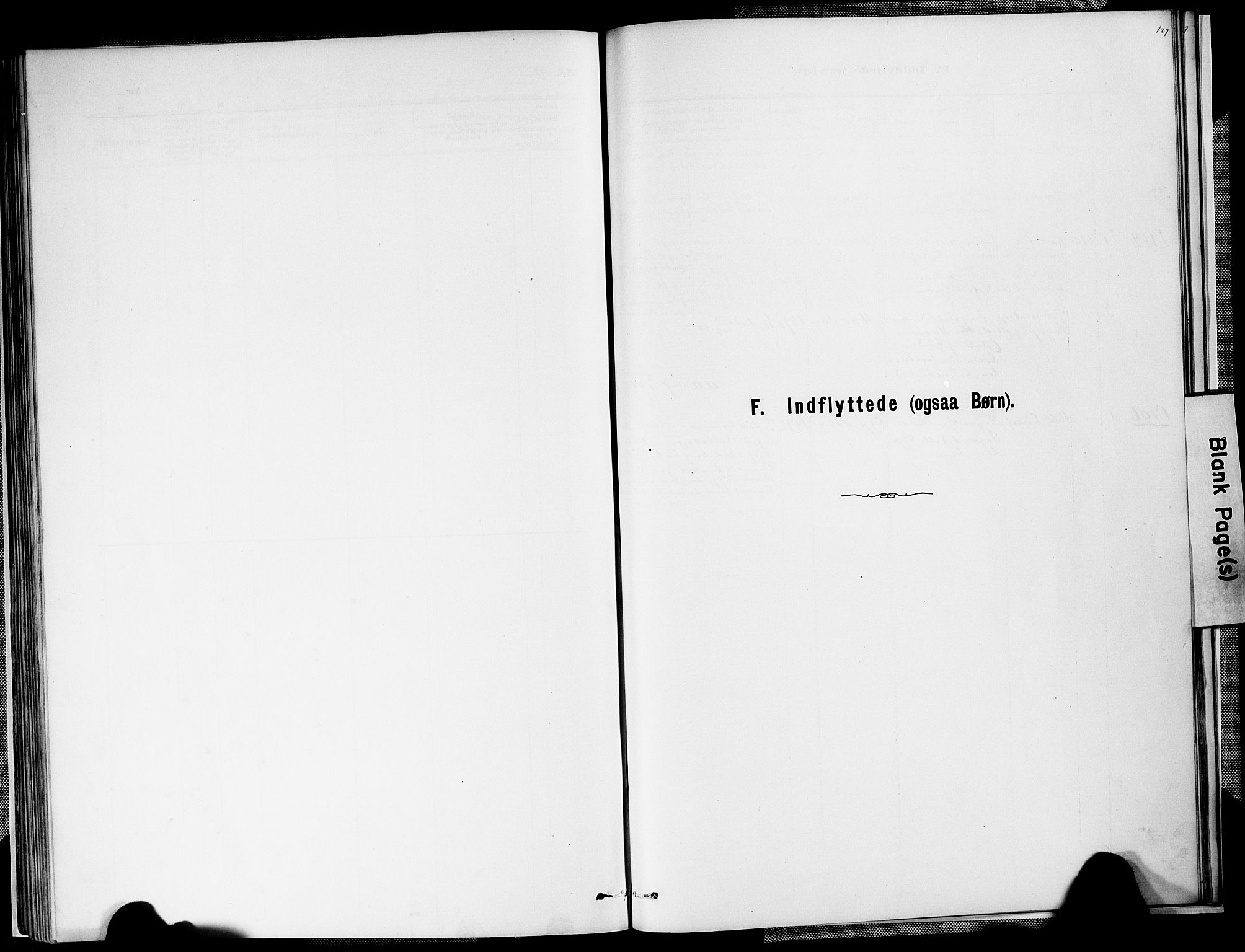 Valle sokneprestkontor, SAK/1111-0044/F/Fa/Faa/L0001: Ministerialbok nr. A 1, 1882-1907, s. 127