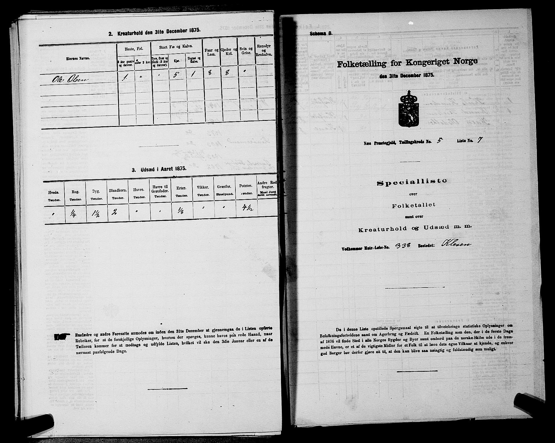 SAKO, Folketelling 1875 for 0616P Nes prestegjeld, 1875, s. 968