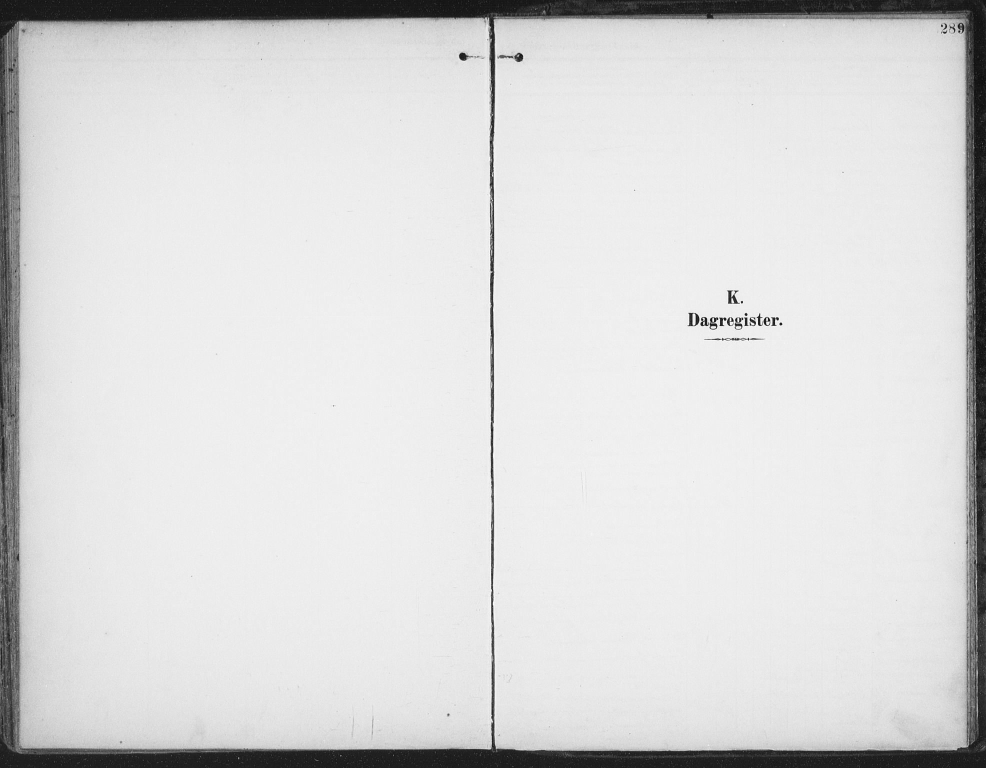 Ministerialprotokoller, klokkerbøker og fødselsregistre - Nordland, AV/SAT-A-1459/872/L1036: Ministerialbok nr. 872A11, 1897-1913, s. 289