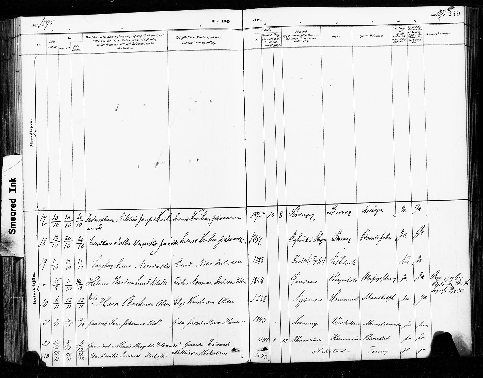 Ministerialprotokoller, klokkerbøker og fødselsregistre - Nordland, AV/SAT-A-1459/859/L0847: Ministerialbok nr. 859A07, 1890-1899, s. 249