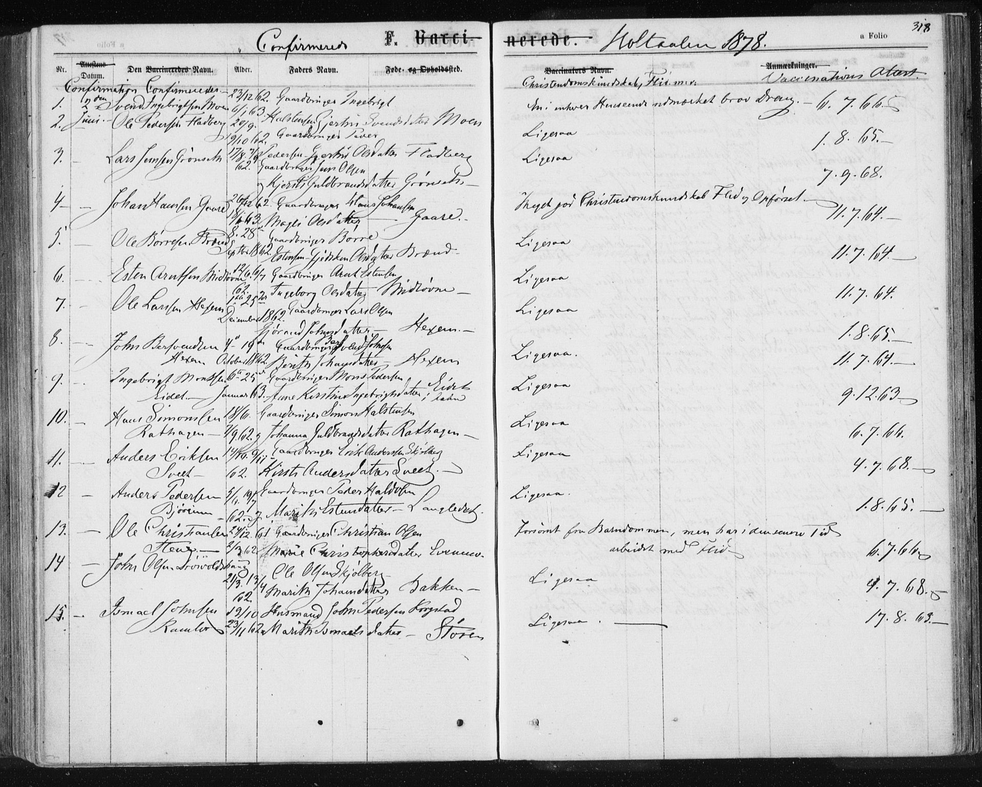 Ministerialprotokoller, klokkerbøker og fødselsregistre - Sør-Trøndelag, AV/SAT-A-1456/685/L0969: Ministerialbok nr. 685A08 /1, 1870-1878, s. 318