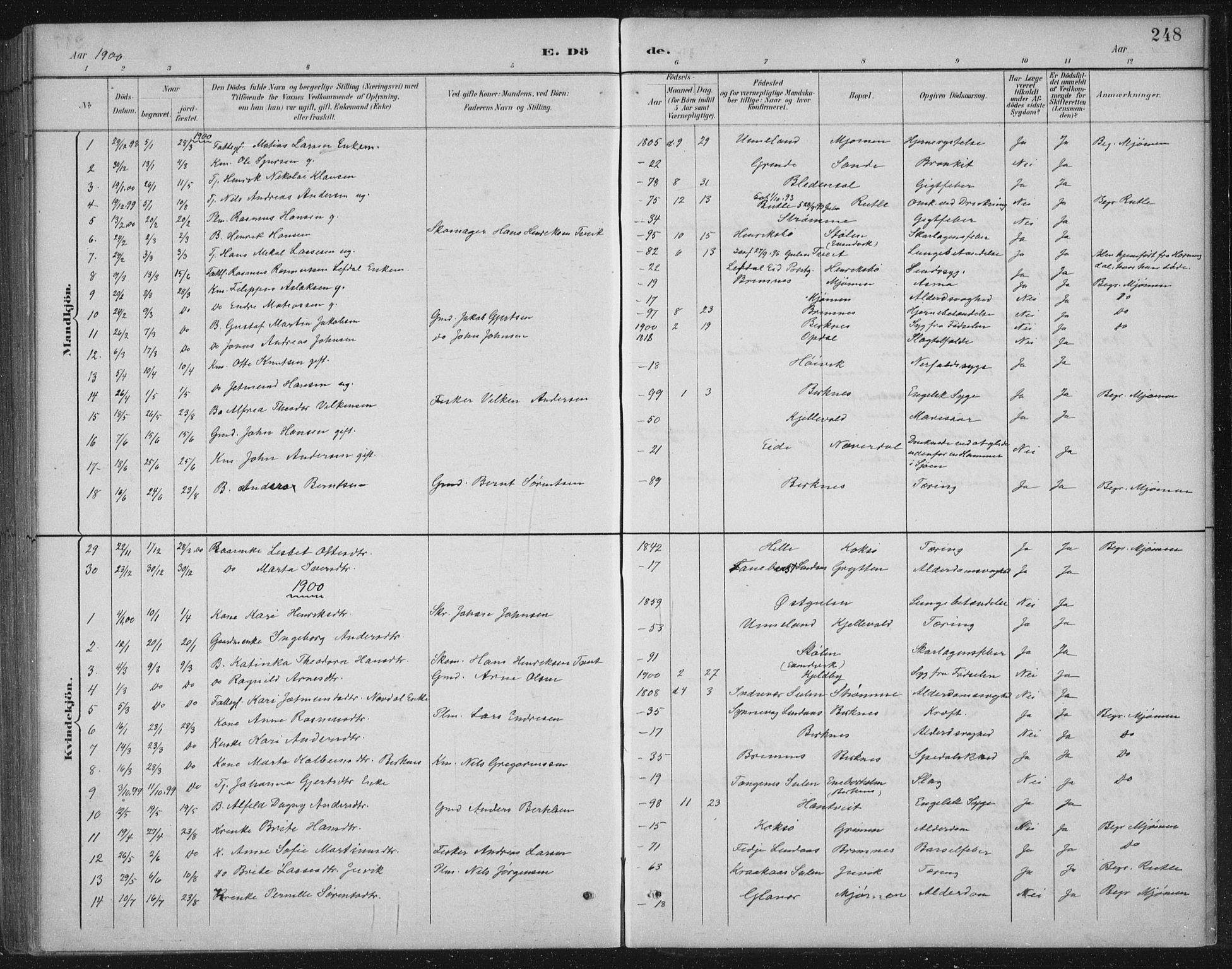 Gulen sokneprestembete, SAB/A-80201/H/Hab/Habb/L0003: Klokkerbok nr. B 3, 1884-1907, s. 248