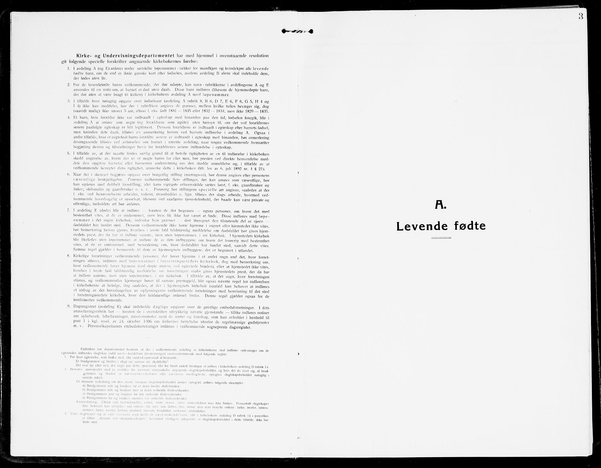 Åmli sokneprestkontor, SAK/1111-0050/F/Fa/Fac/L0013: Ministerialbok nr. A 13, 1914-1933, s. 3