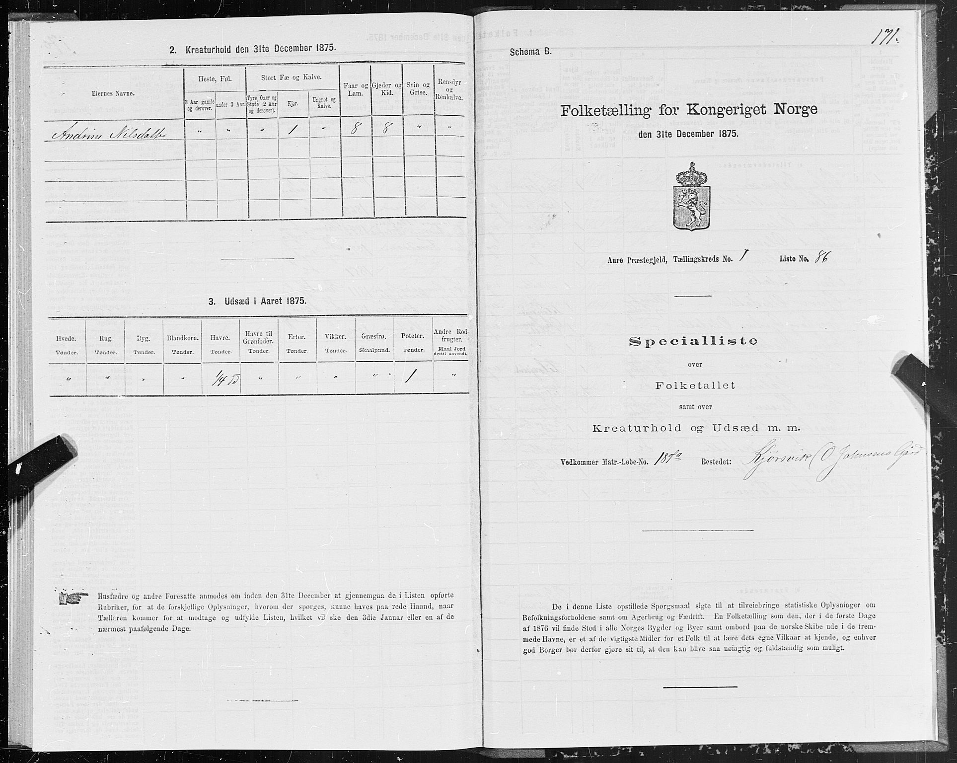 SAT, Folketelling 1875 for 1569P Aure prestegjeld, 1875, s. 1171