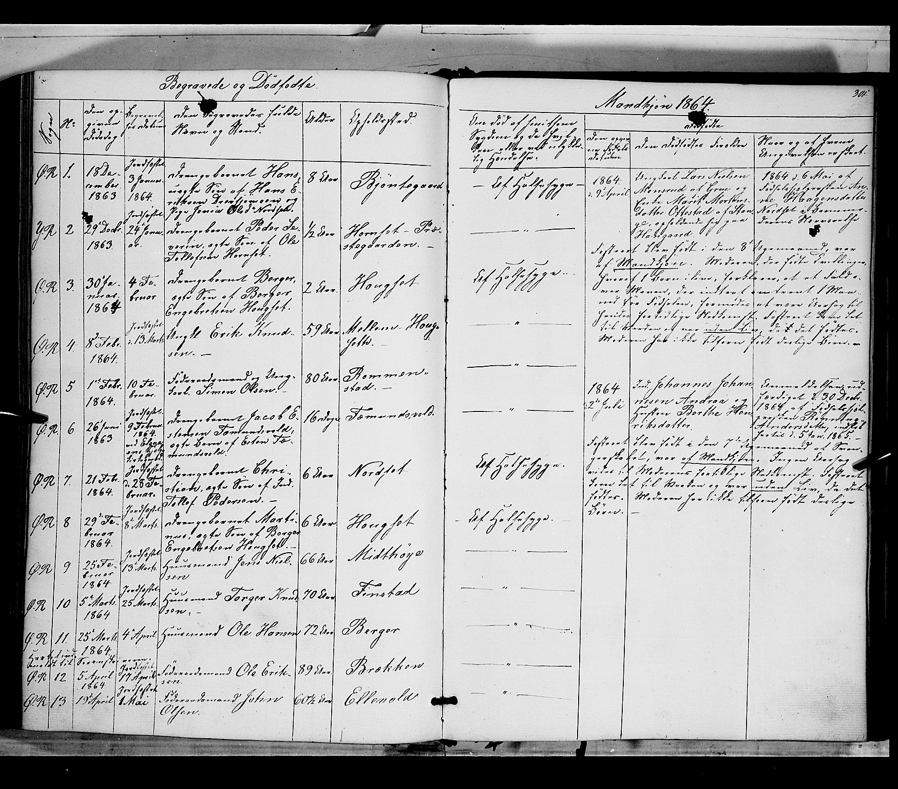 Rendalen prestekontor, AV/SAH-PREST-054/H/Ha/Haa/L0005: Ministerialbok nr. 5, 1853-1866, s. 301