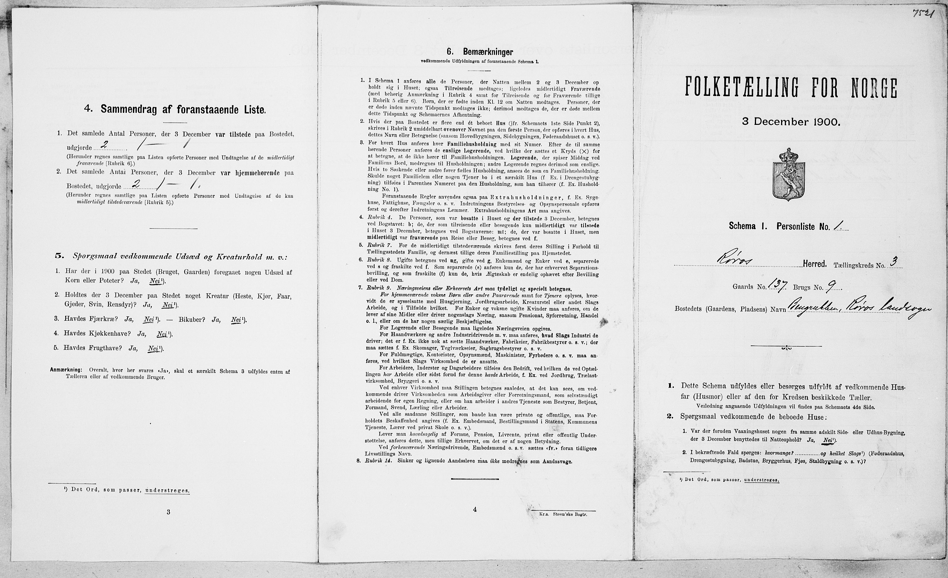SAT, Folketelling 1900 for 1640 Røros herred, 1900, s. 268