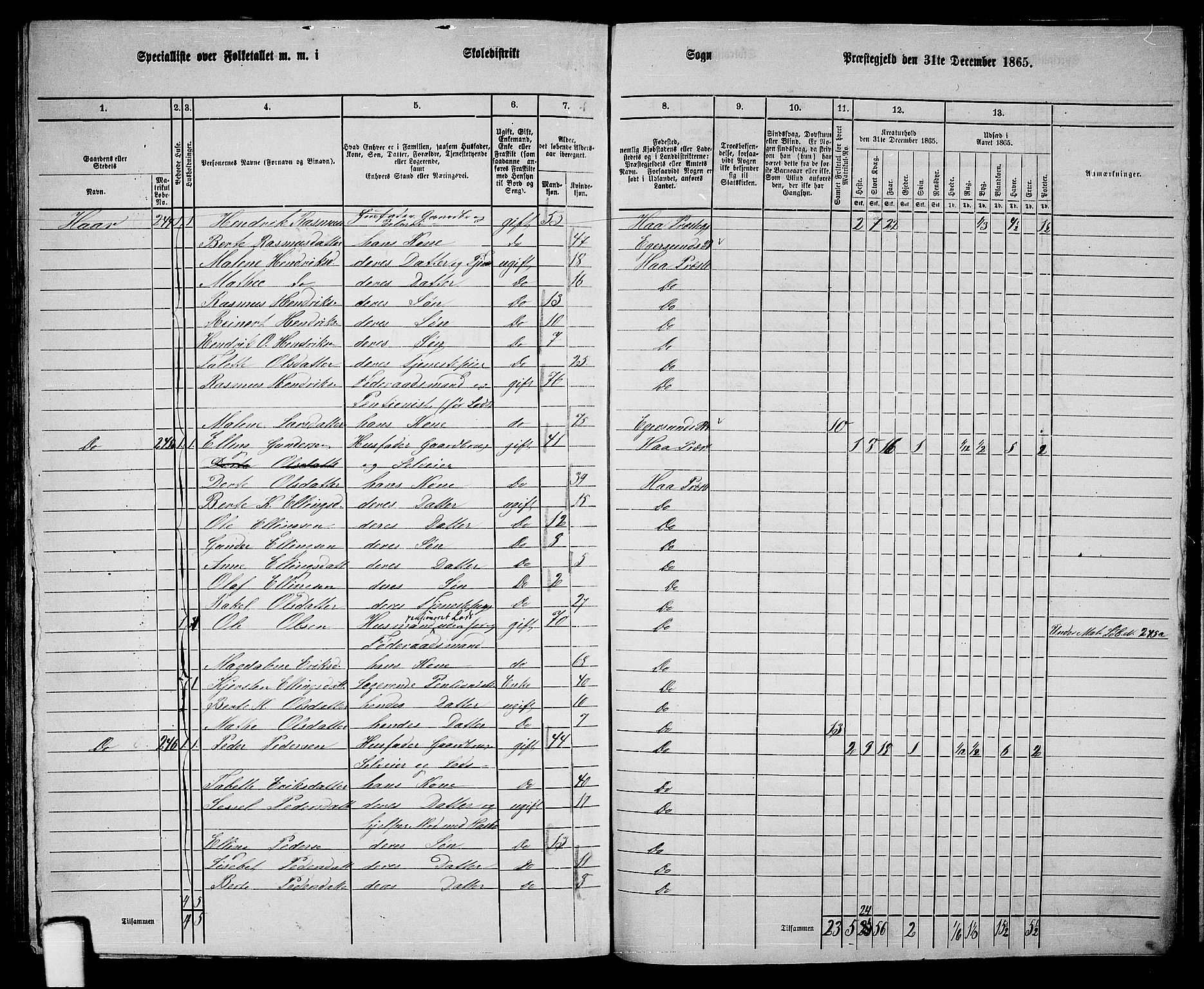 RA, Folketelling 1865 for 1119P Hå prestegjeld, 1865, s. 106