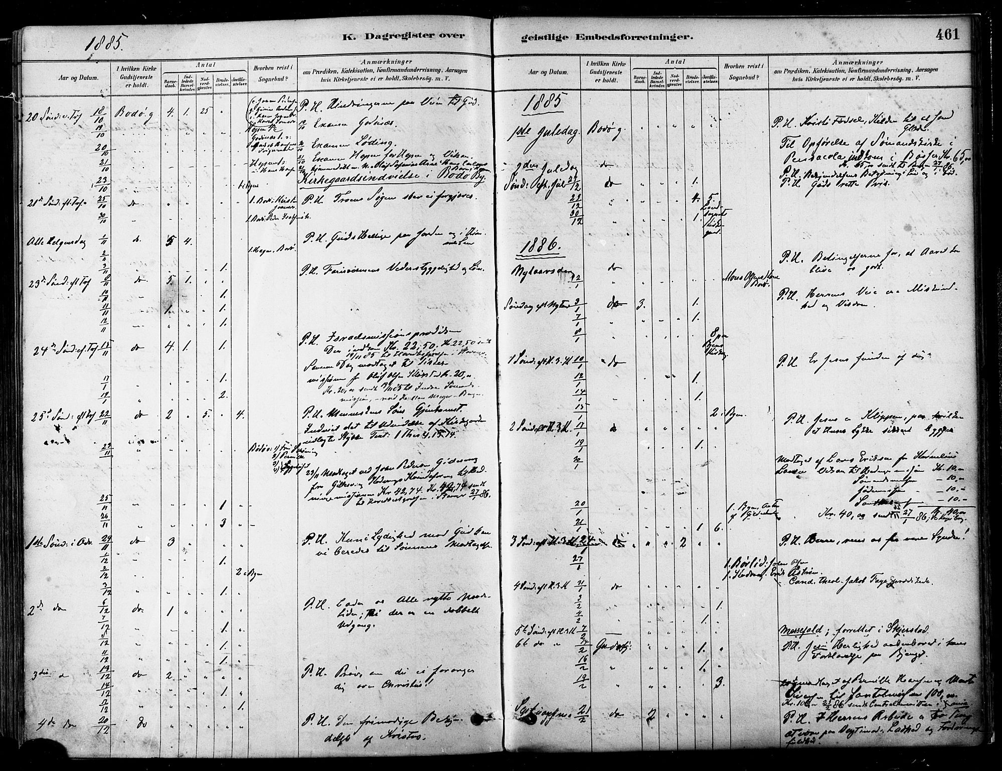 Ministerialprotokoller, klokkerbøker og fødselsregistre - Nordland, SAT/A-1459/802/L0054: Ministerialbok nr. 802A01, 1879-1893, s. 461