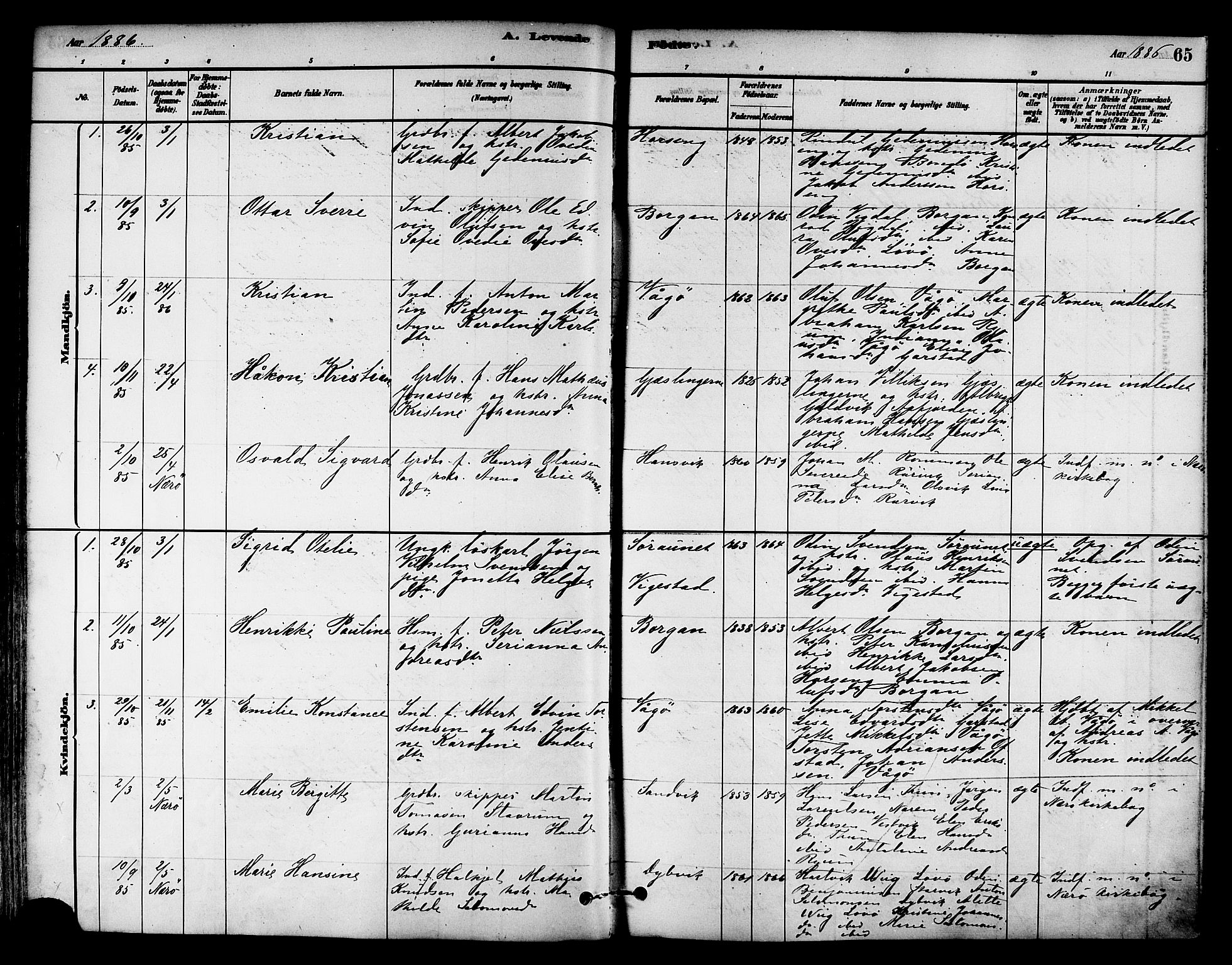 Ministerialprotokoller, klokkerbøker og fødselsregistre - Nord-Trøndelag, SAT/A-1458/786/L0686: Ministerialbok nr. 786A02, 1880-1887, s. 65