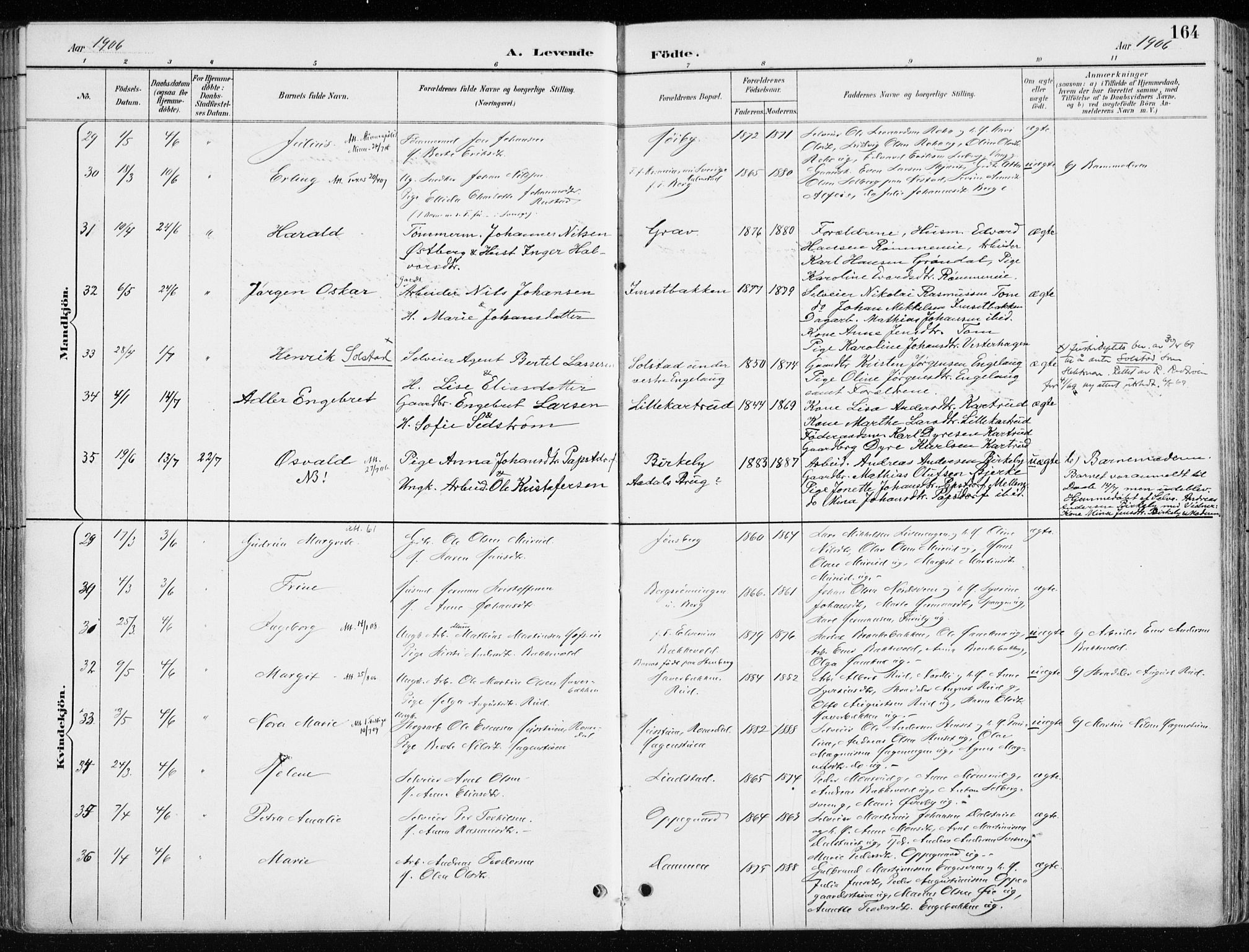 Løten prestekontor, AV/SAH-PREST-022/K/Ka/L0010: Ministerialbok nr. 10, 1892-1907, s. 164