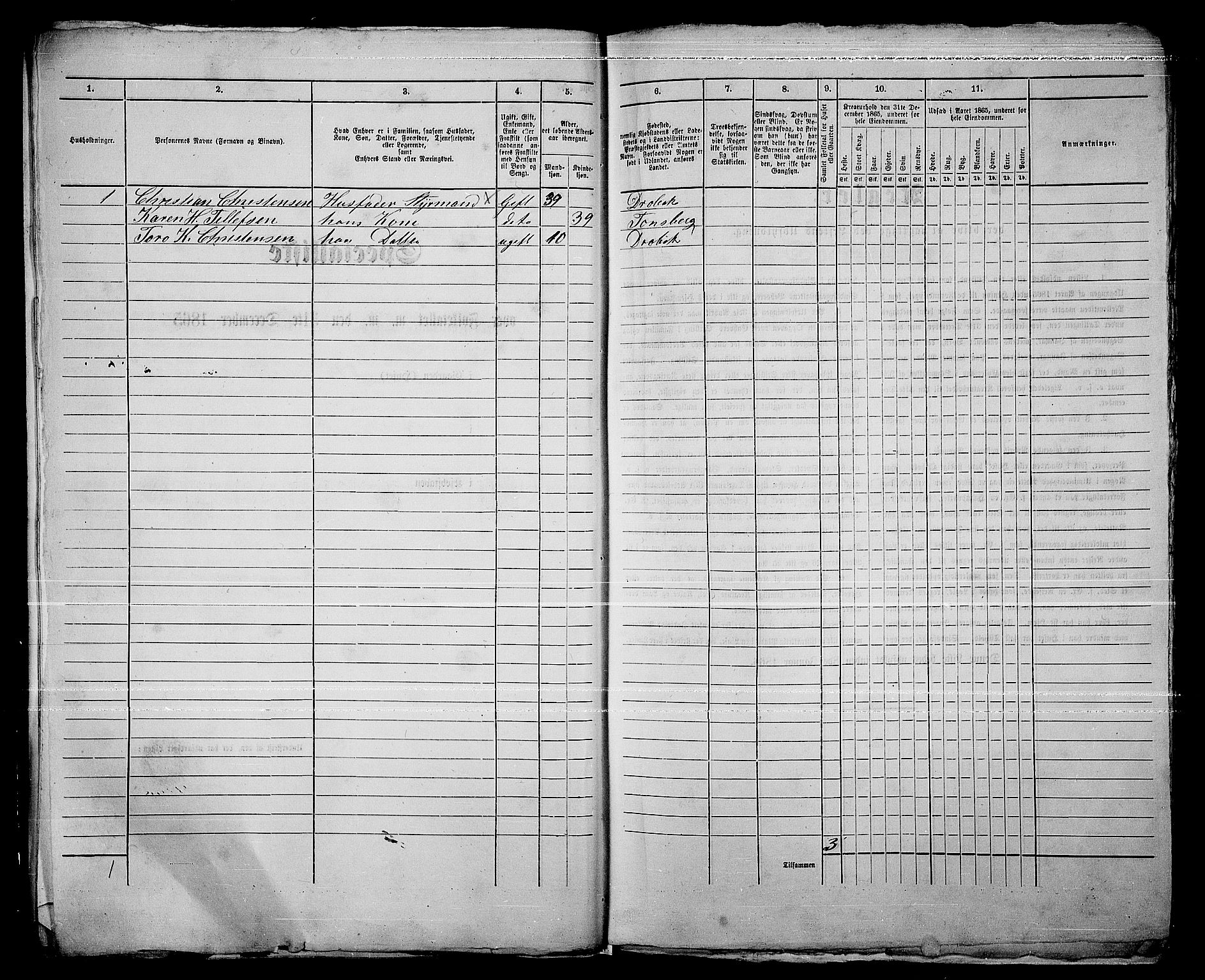 RA, Folketelling 1865 for 0203B Drøbak prestegjeld, Drøbak kjøpstad, 1865, s. 15