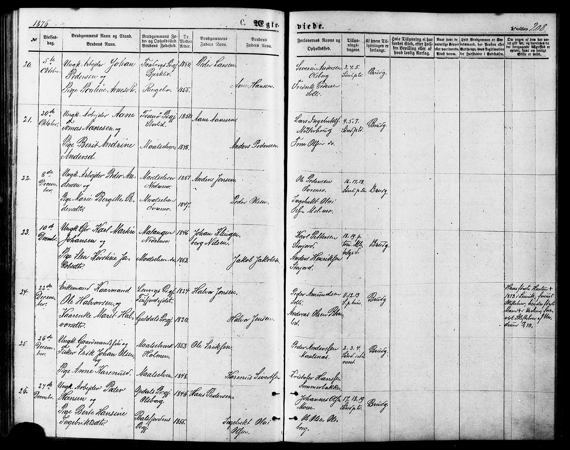 Målselv sokneprestembete, AV/SATØ-S-1311/G/Ga/Gaa/L0005kirke: Ministerialbok nr. 5, 1872-1884, s. 208