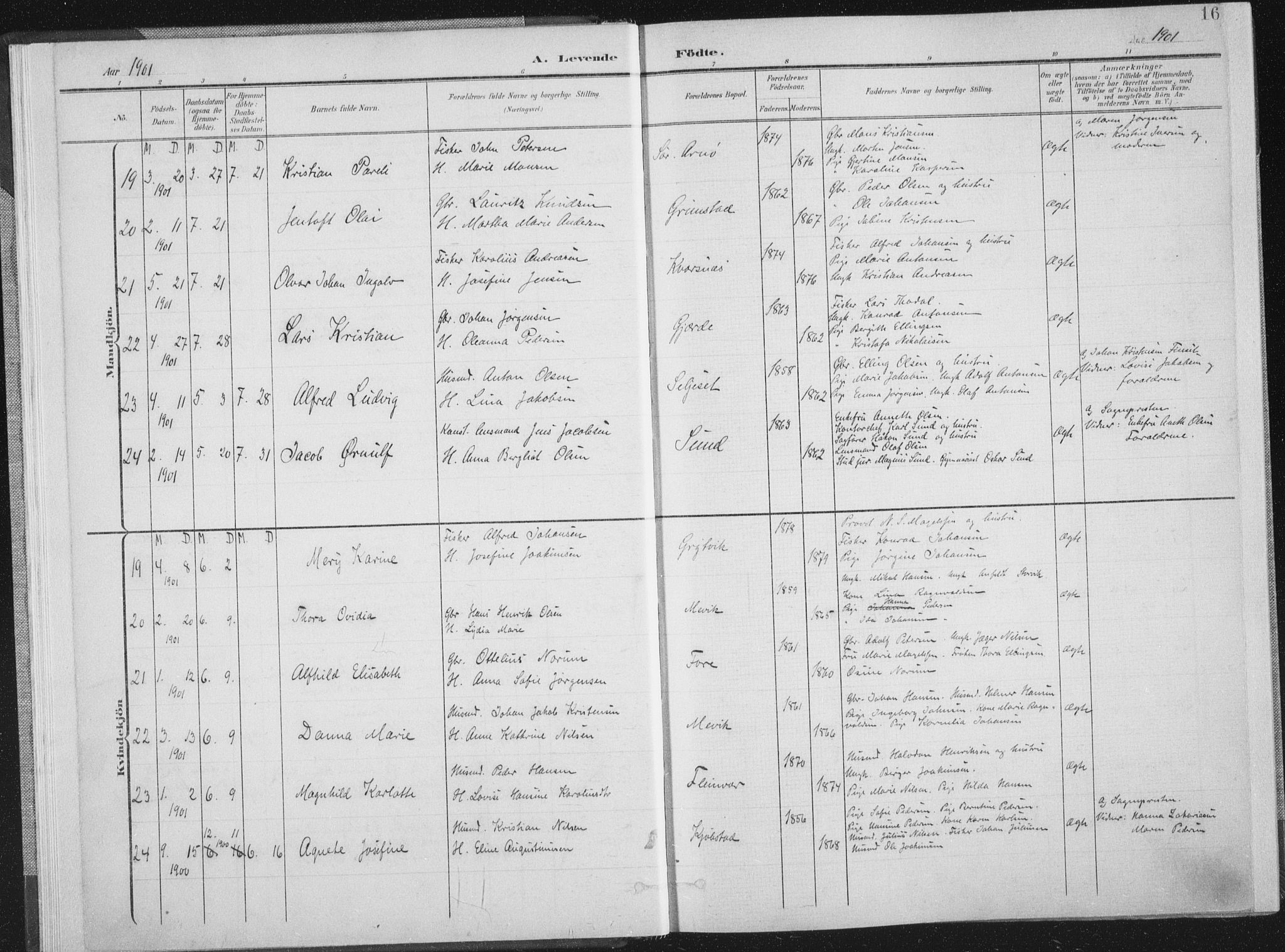 Ministerialprotokoller, klokkerbøker og fødselsregistre - Nordland, AV/SAT-A-1459/805/L0102: Ministerialbok nr. 805A08I, 1900-1909, s. 16