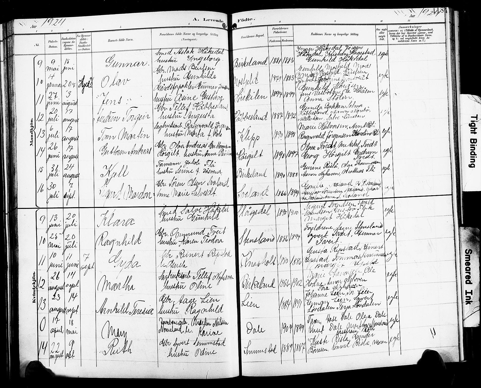 Birkenes sokneprestkontor, AV/SAK-1111-0004/F/Fb/L0004: Klokkerbok nr. B 4, 1893-1930, s. 118