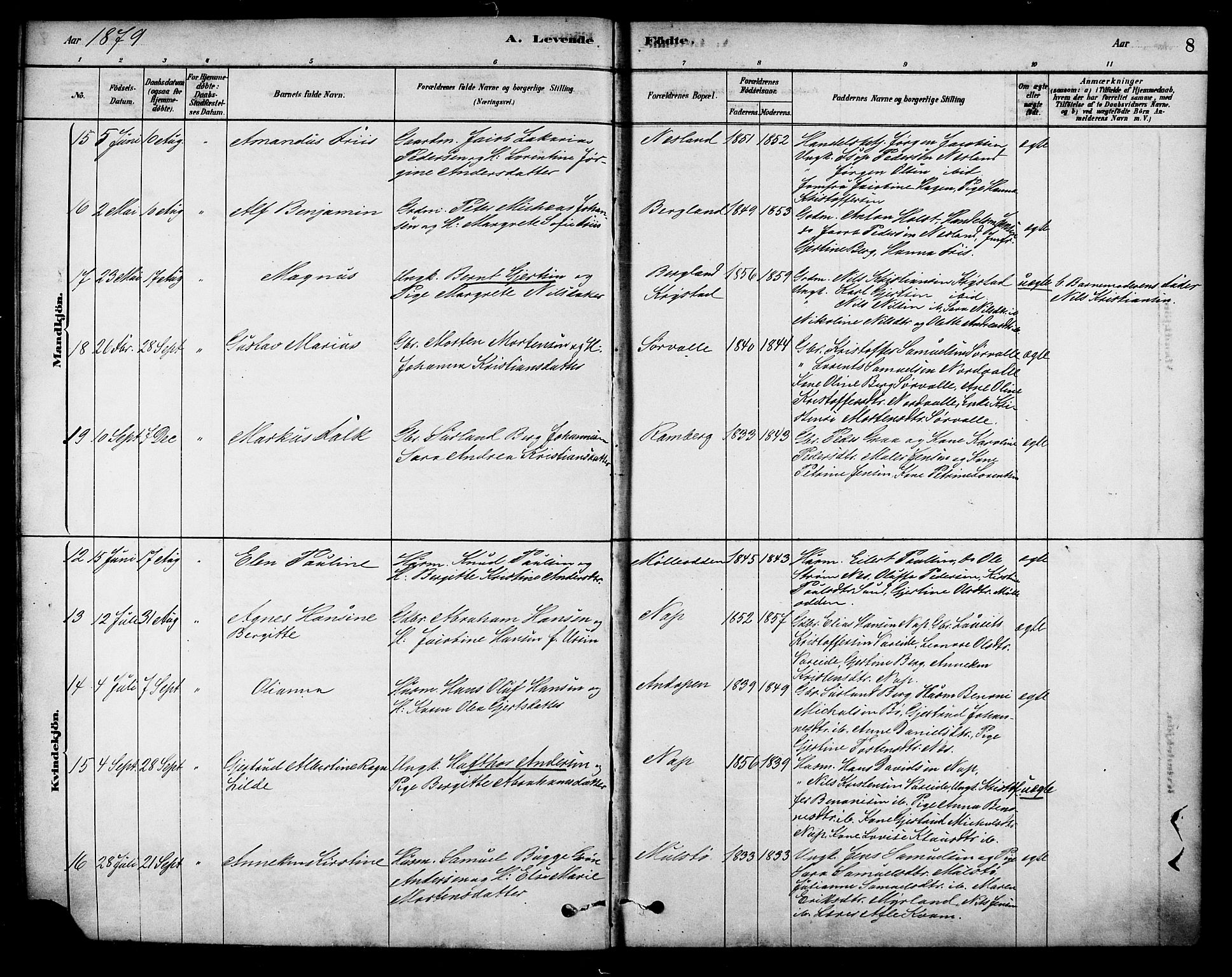 Ministerialprotokoller, klokkerbøker og fødselsregistre - Nordland, AV/SAT-A-1459/885/L1204: Ministerialbok nr. 885A05, 1878-1892, s. 8