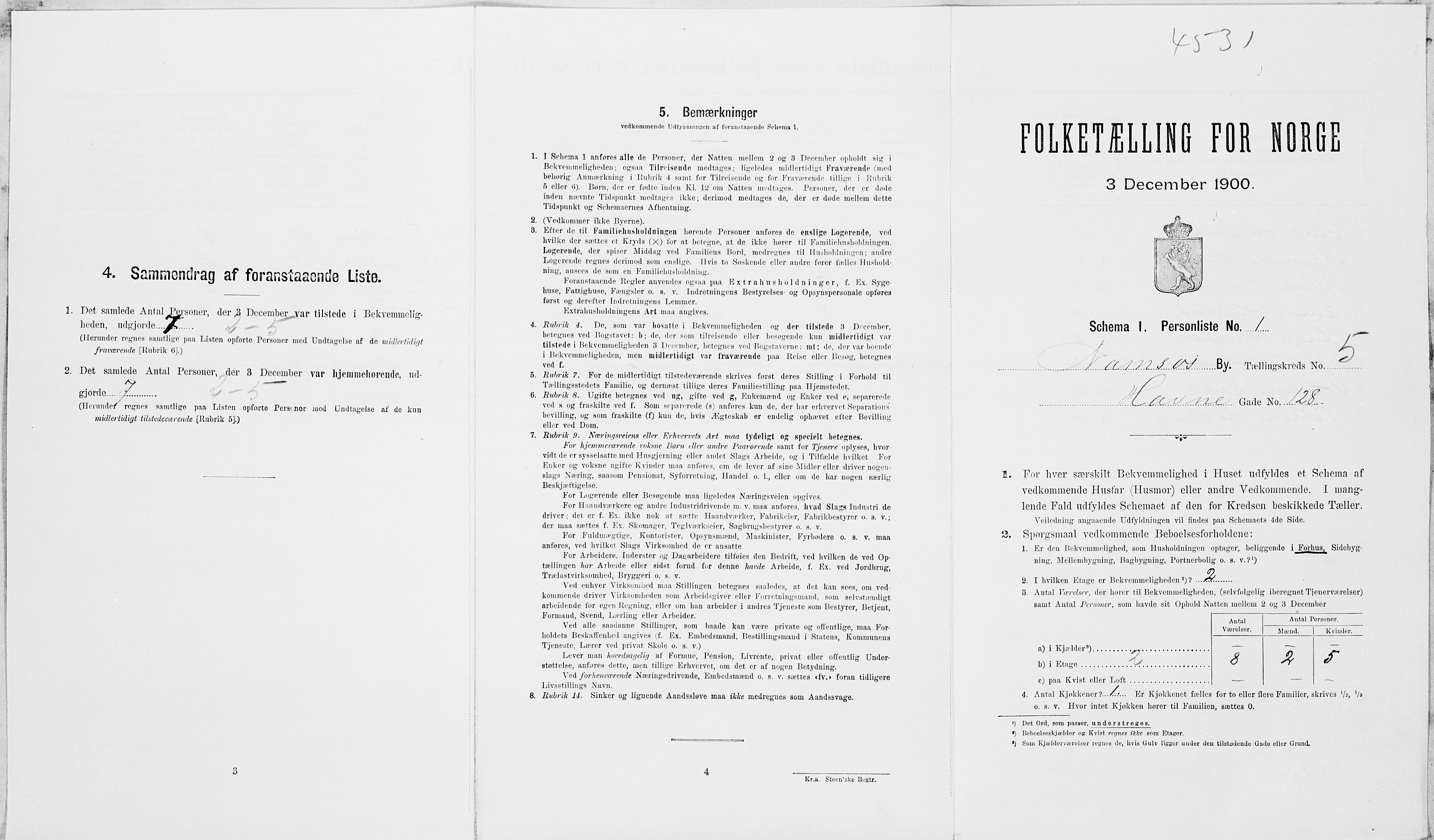 SAT, Folketelling 1900 for 1703 Namsos ladested, 1900, s. 1043