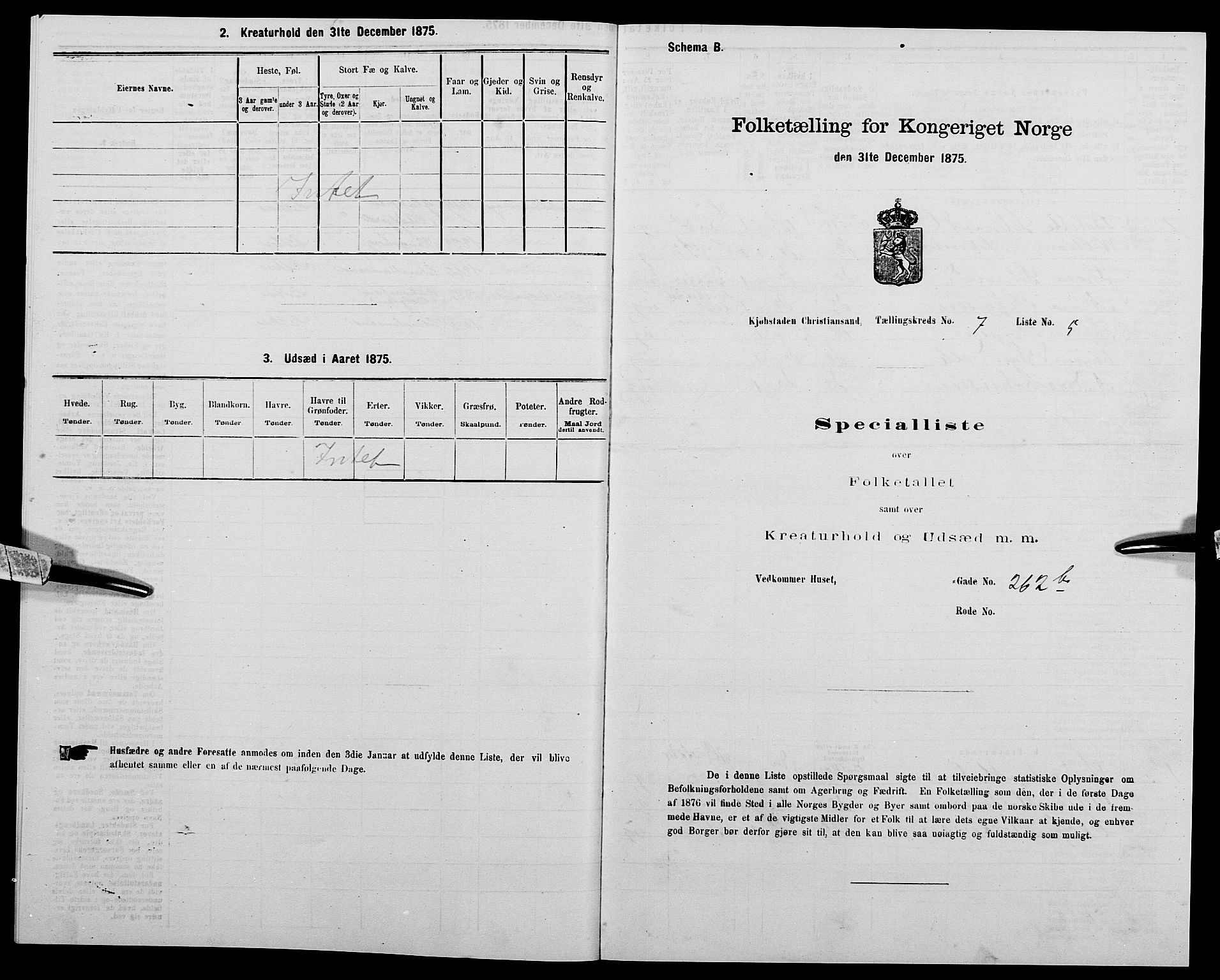 SAK, Folketelling 1875 for 1001P Kristiansand prestegjeld, 1875, s. 996