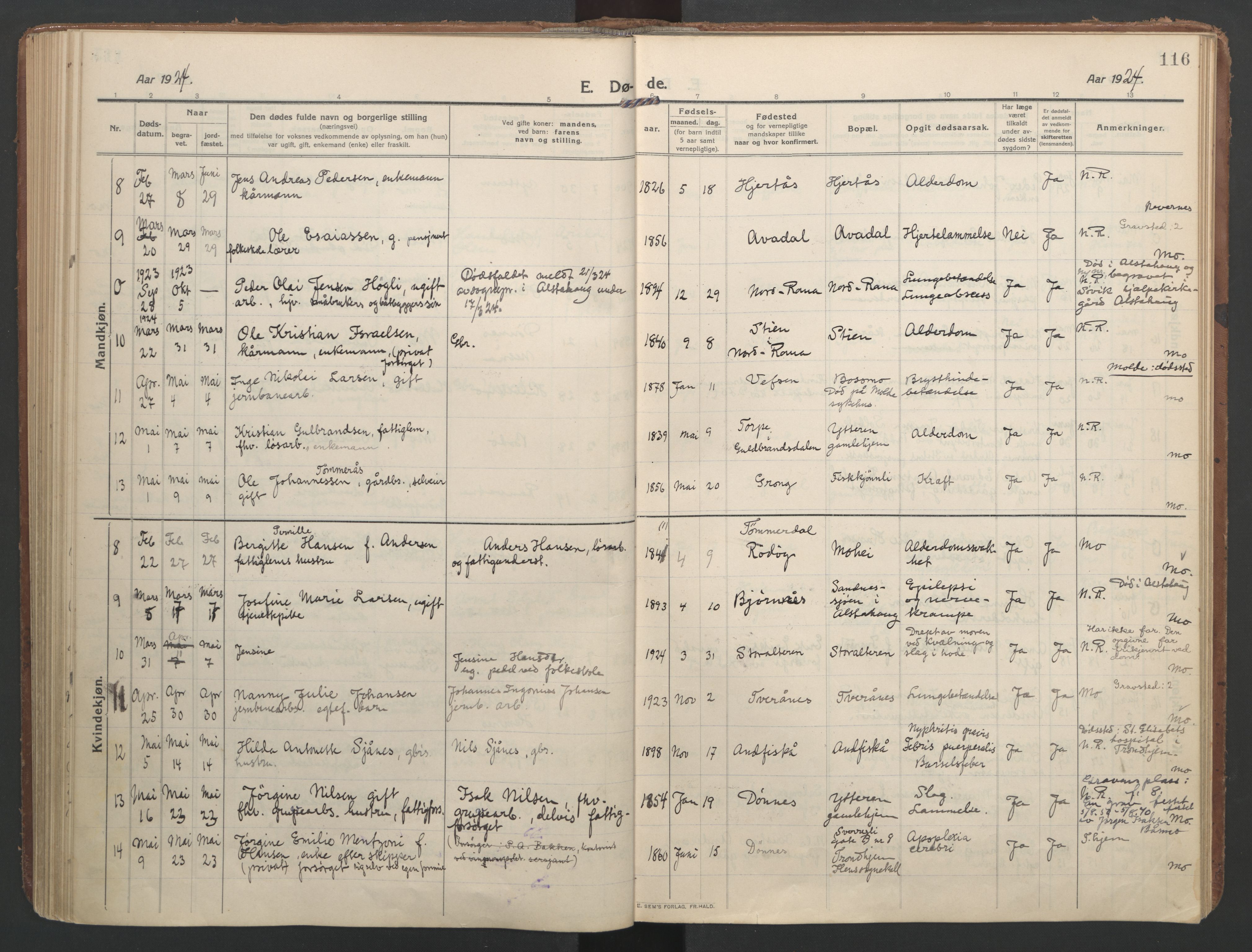 Ministerialprotokoller, klokkerbøker og fødselsregistre - Nordland, AV/SAT-A-1459/827/L0405: Ministerialbok nr. 827A17, 1912-1925, s. 116