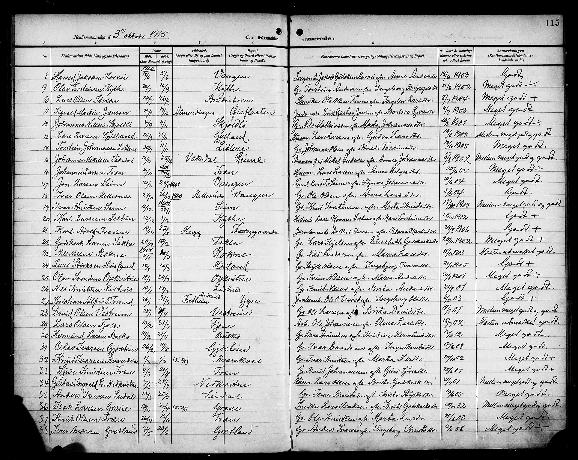 Voss sokneprestembete, AV/SAB-A-79001/H/Haa: Ministerialbok nr. B 2, 1899-1922, s. 115