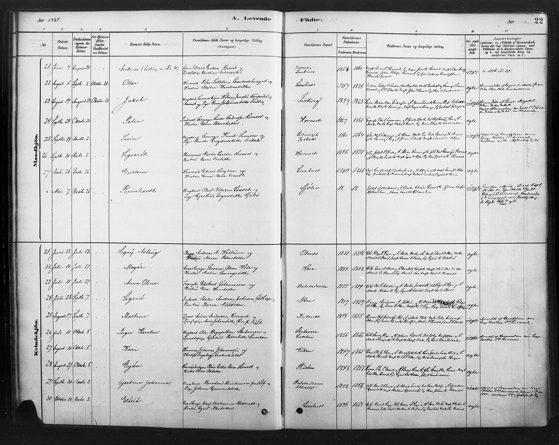 Rendalen prestekontor, AV/SAH-PREST-054/H/Ha/Haa/L0010: Ministerialbok nr. 10, 1878-1901, s. 22