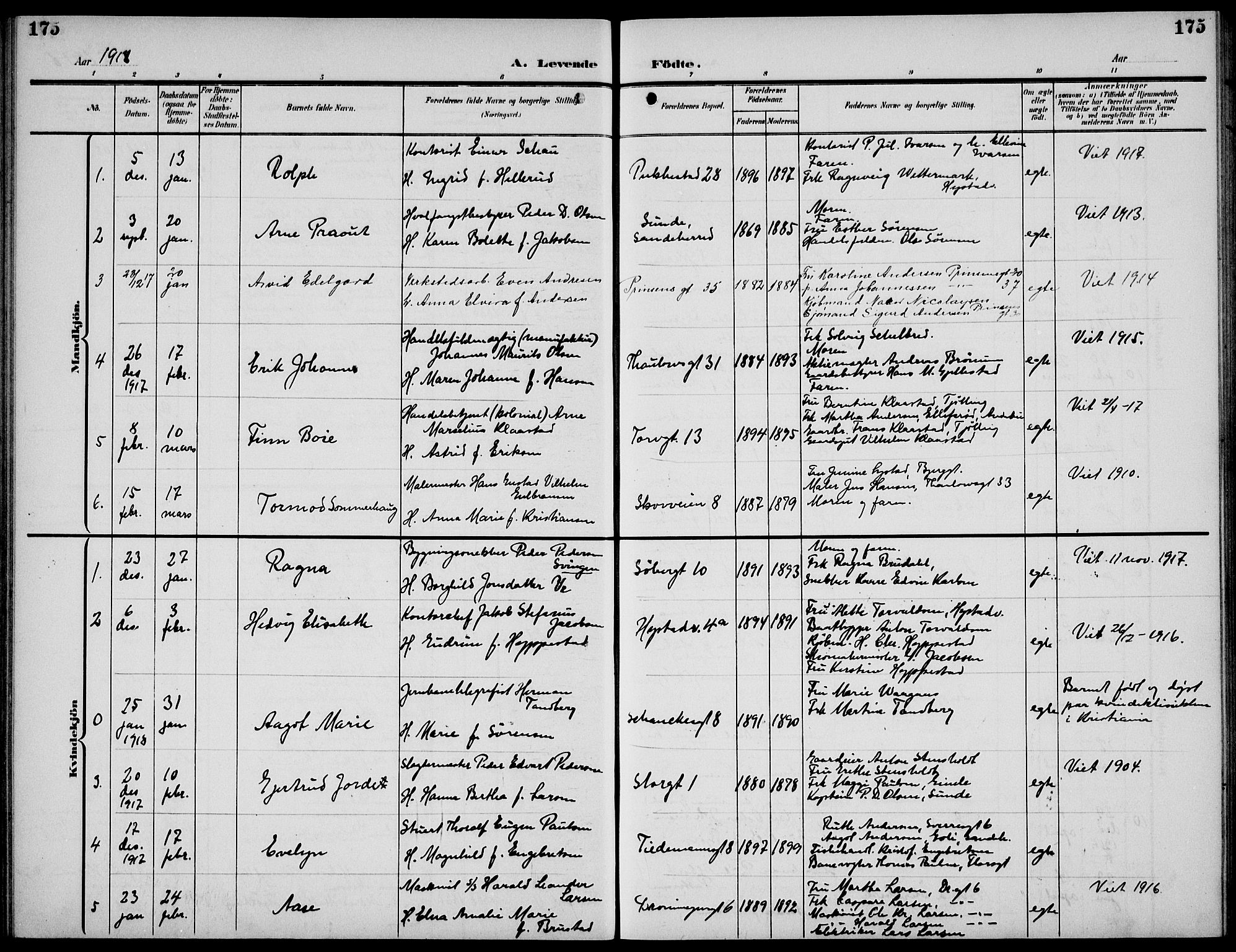 Sandefjord kirkebøker, AV/SAKO-A-315/G/Ga/L0003: Klokkerbok nr. 3, 1903-1920, s. 175