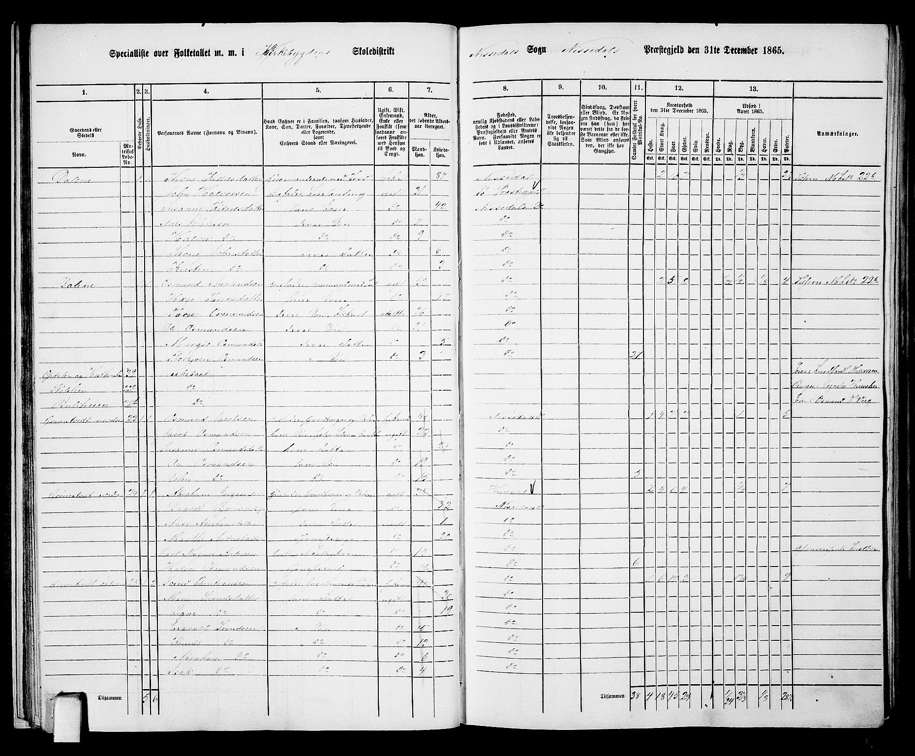 RA, Folketelling 1865 for 0830P Nissedal prestegjeld, 1865, s. 25