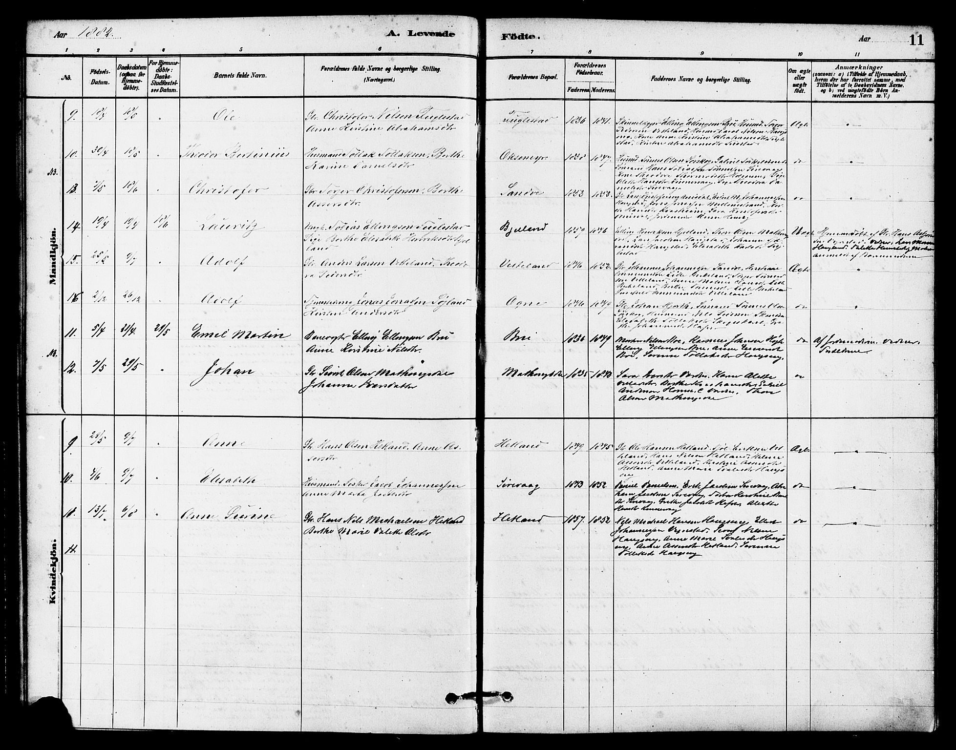 Eigersund sokneprestkontor, AV/SAST-A-101807/S08/L0016: Ministerialbok nr. A 16, 1879-1893, s. 11