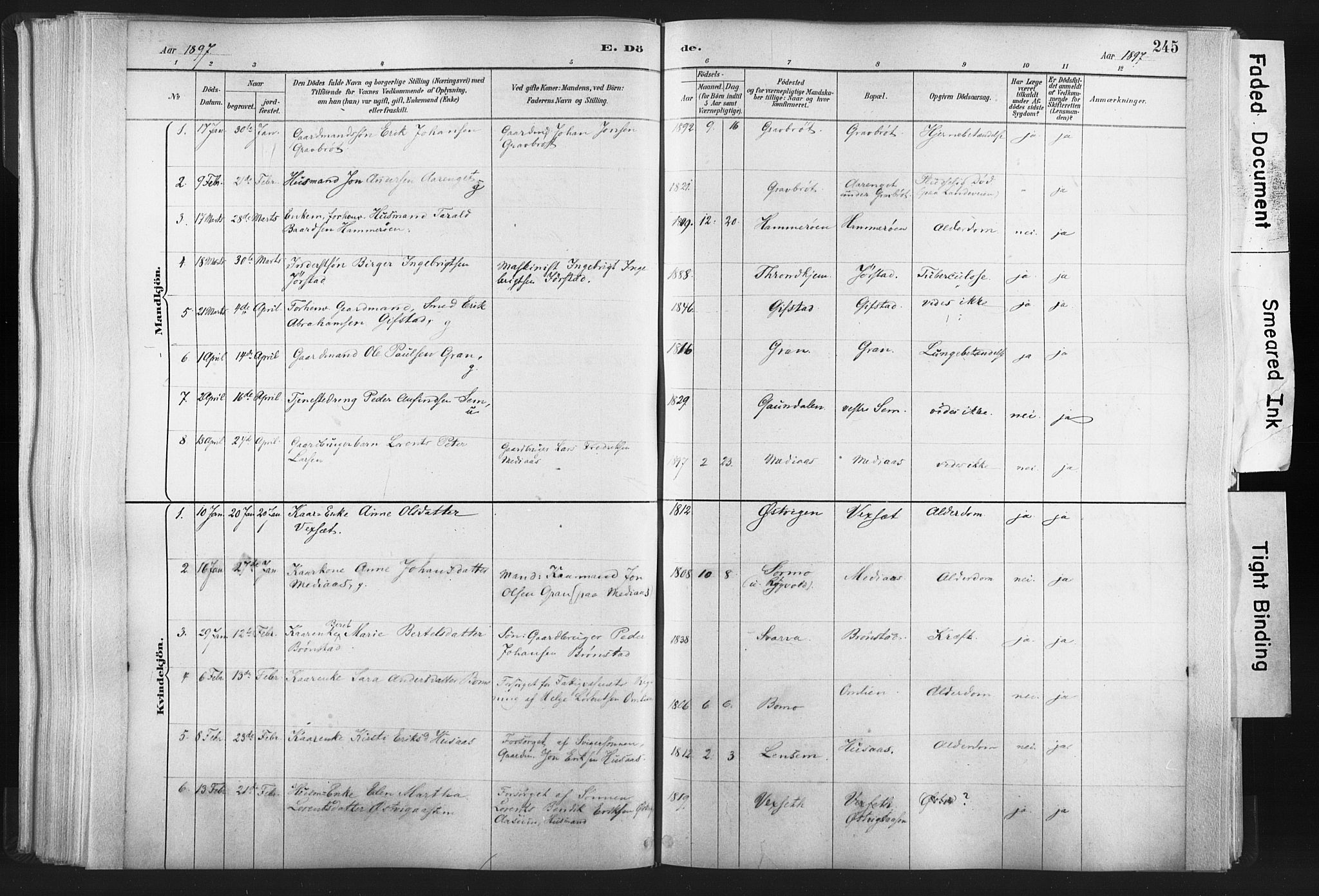Ministerialprotokoller, klokkerbøker og fødselsregistre - Nord-Trøndelag, SAT/A-1458/749/L0474: Ministerialbok nr. 749A08, 1887-1903, s. 245