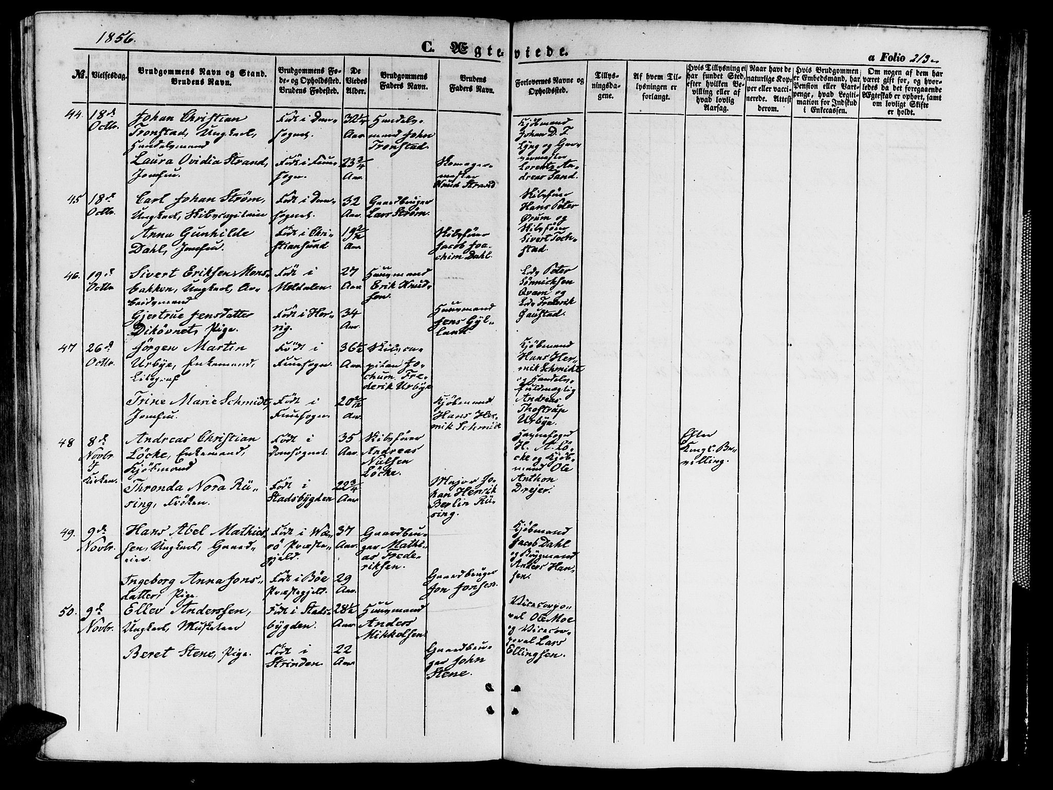 Ministerialprotokoller, klokkerbøker og fødselsregistre - Sør-Trøndelag, SAT/A-1456/602/L0138: Klokkerbok nr. 602C06, 1853-1858, s. 213