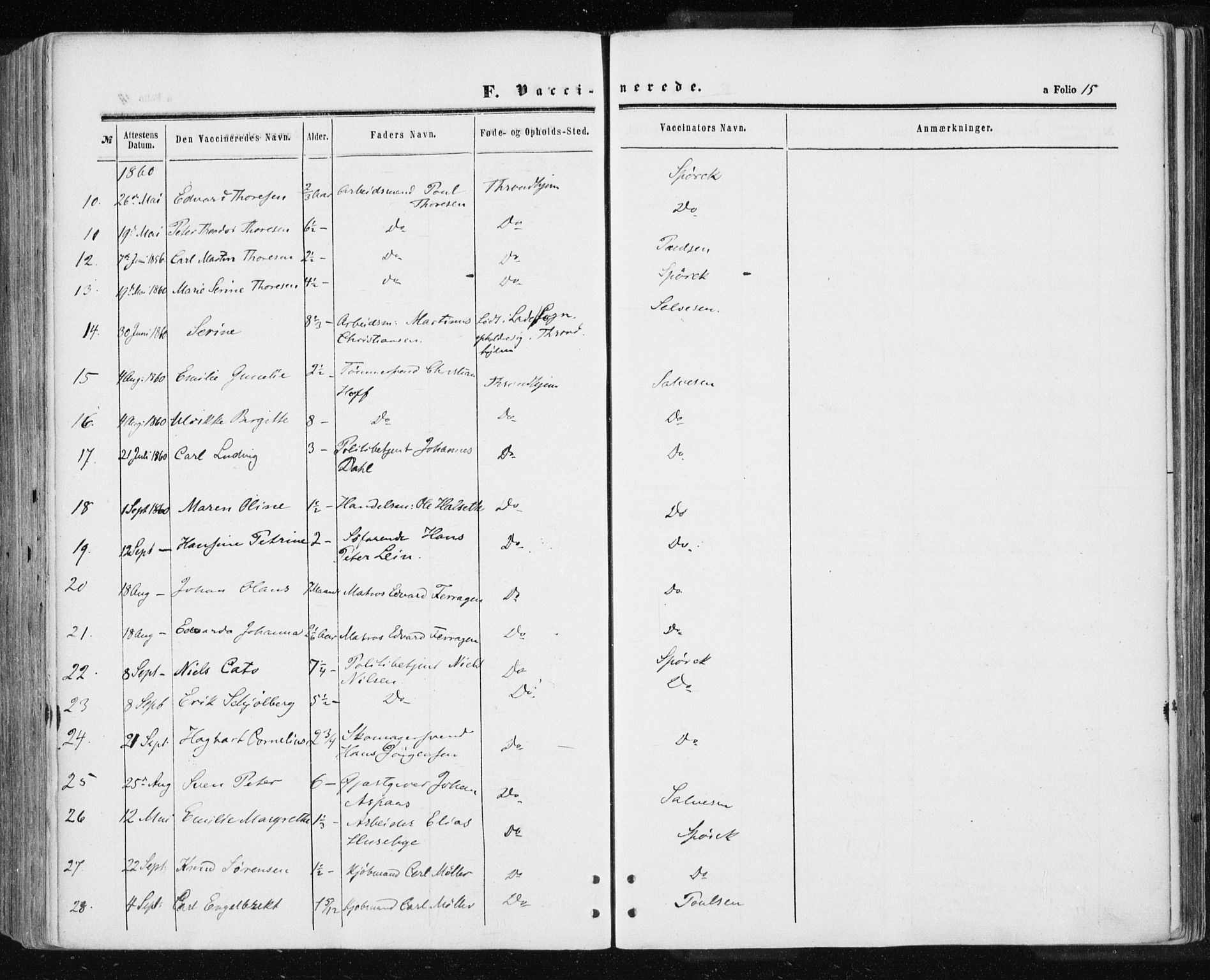 Ministerialprotokoller, klokkerbøker og fødselsregistre - Sør-Trøndelag, AV/SAT-A-1456/601/L0053: Ministerialbok nr. 601A21, 1857-1865, s. 15