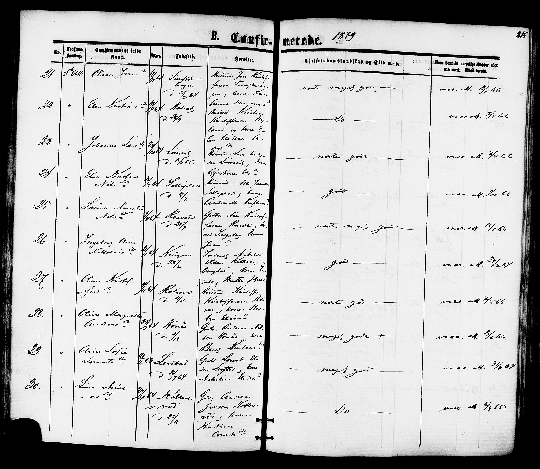 Ministerialprotokoller, klokkerbøker og fødselsregistre - Nord-Trøndelag, AV/SAT-A-1458/701/L0009: Ministerialbok nr. 701A09 /1, 1864-1882, s. 215