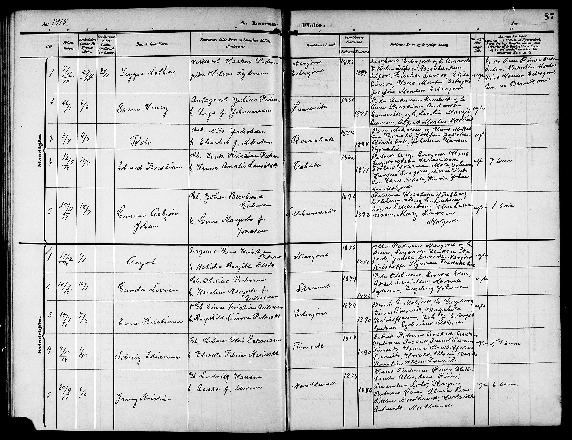 Ministerialprotokoller, klokkerbøker og fødselsregistre - Nordland, AV/SAT-A-1459/846/L0655: Klokkerbok nr. 846C05, 1902-1916, s. 87
