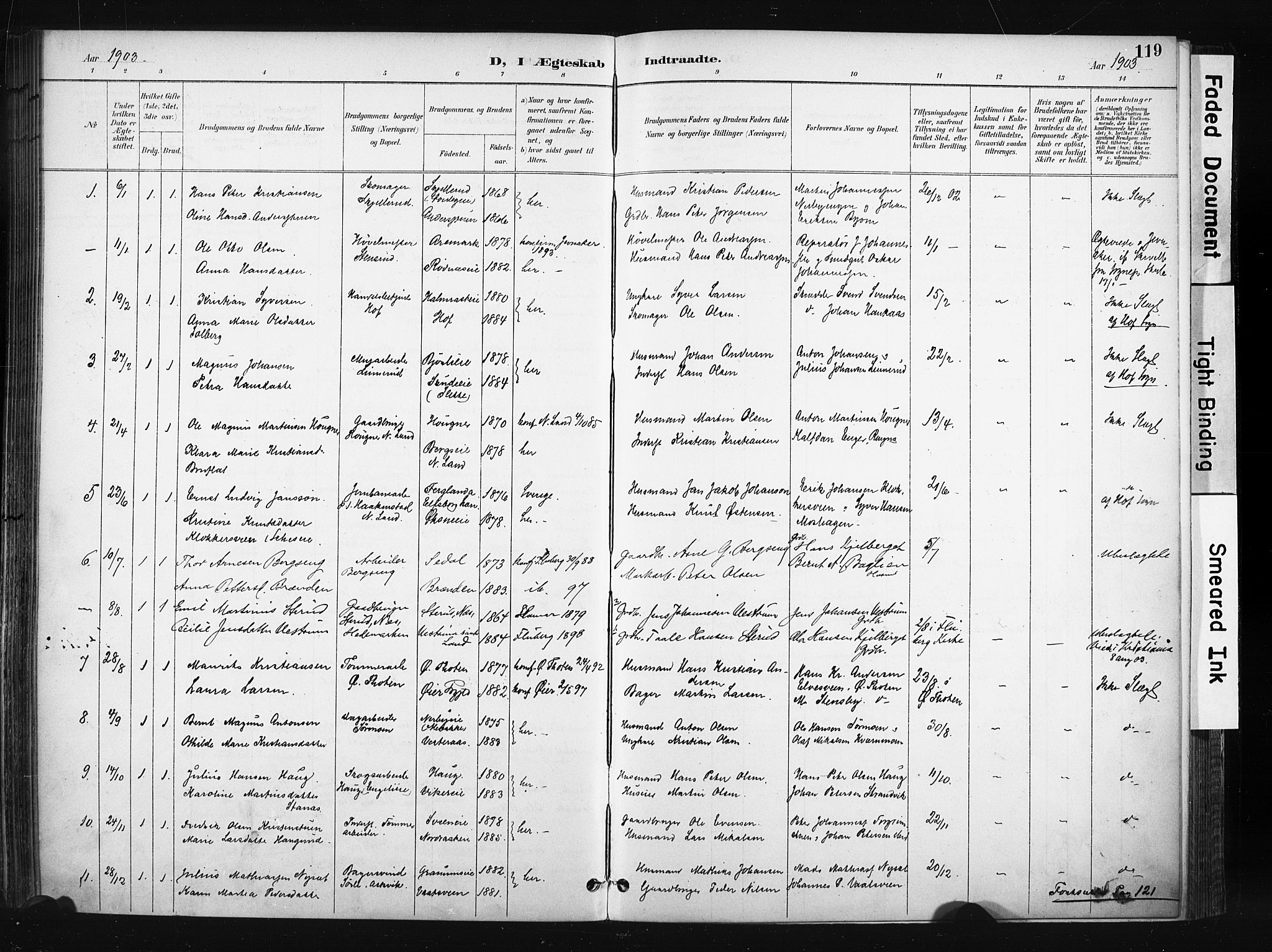 Søndre Land prestekontor, SAH/PREST-122/K/L0004: Ministerialbok nr. 4, 1895-1904, s. 119