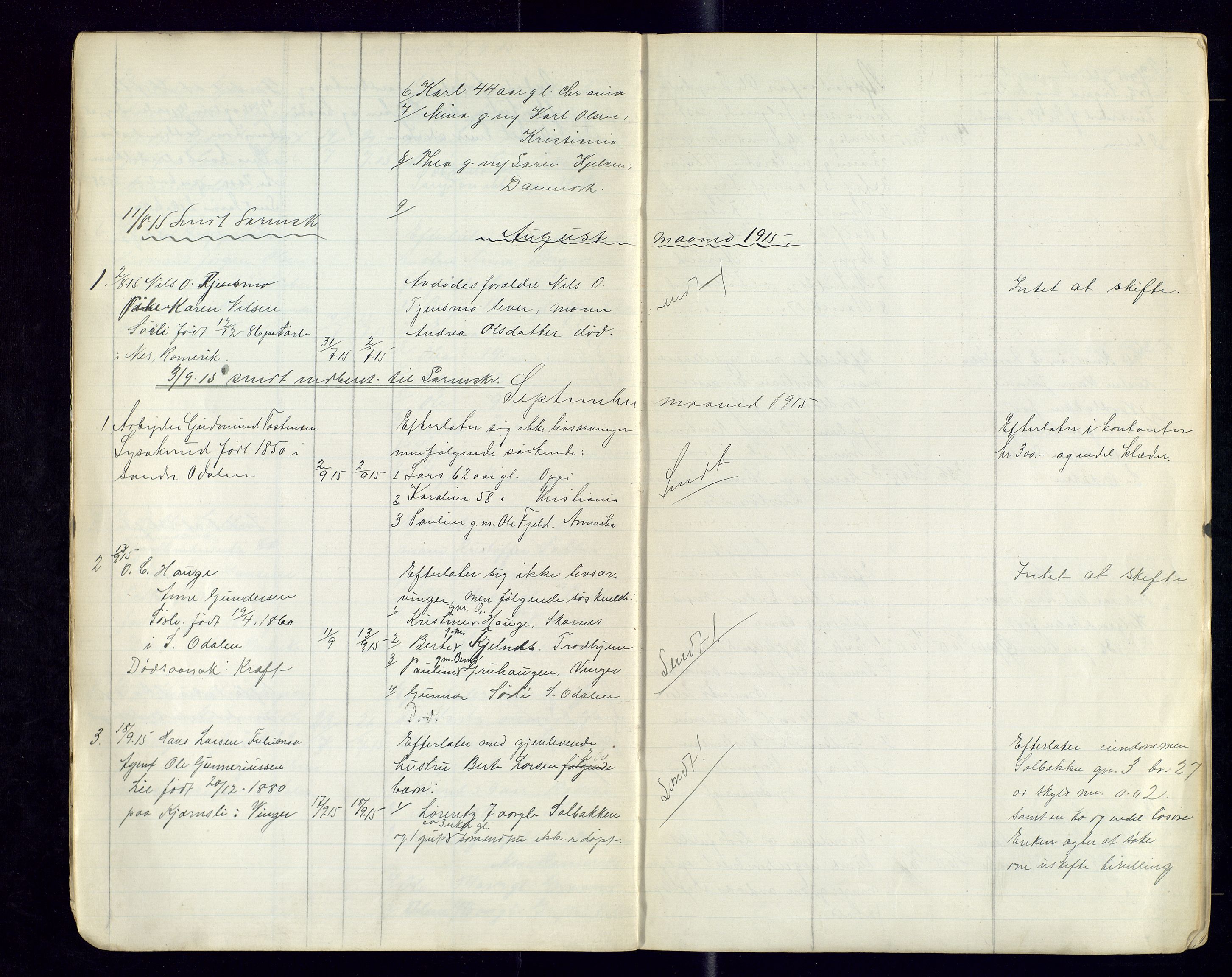 Sør-Odal lensmannskontor, AV/SAH-LHS-022/H/Hb/L0002/0002: Protokoller over anmeldte dødsfall / Protokoll over anmeldte dødsfall, 1915-1921