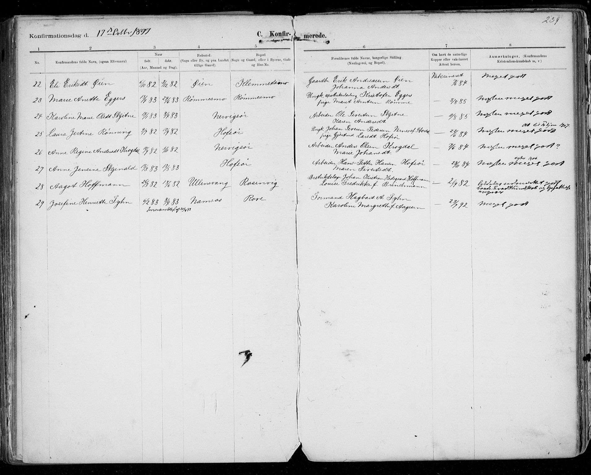 Ministerialprotokoller, klokkerbøker og fødselsregistre - Sør-Trøndelag, SAT/A-1456/668/L0811: Ministerialbok nr. 668A11, 1894-1913, s. 239