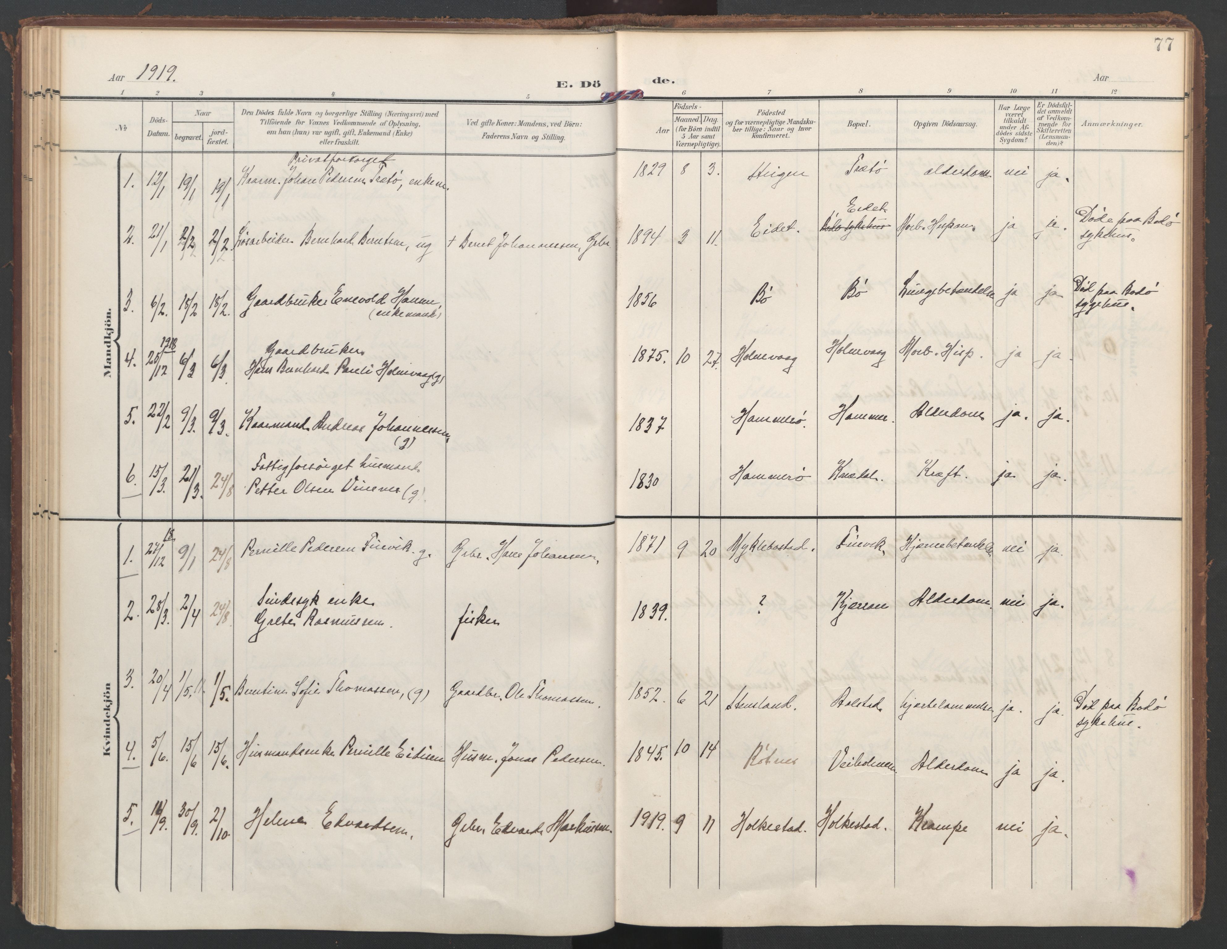 Ministerialprotokoller, klokkerbøker og fødselsregistre - Nordland, AV/SAT-A-1459/855/L0806: Ministerialbok nr. 855A14, 1906-1922, s. 77