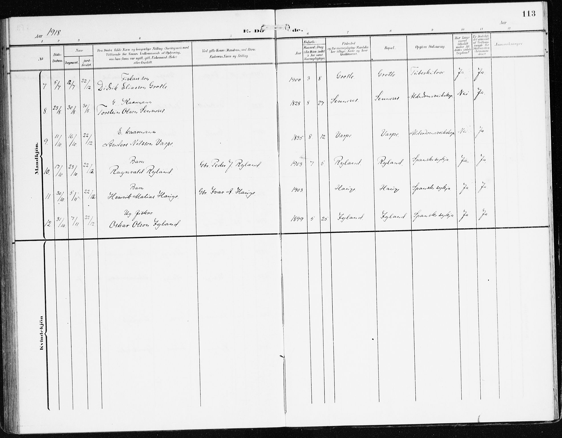 Bremanger sokneprestembete, AV/SAB-A-82201/H/Haa/Haac/L0001: Ministerialbok nr. C 1, 1908-1921, s. 113