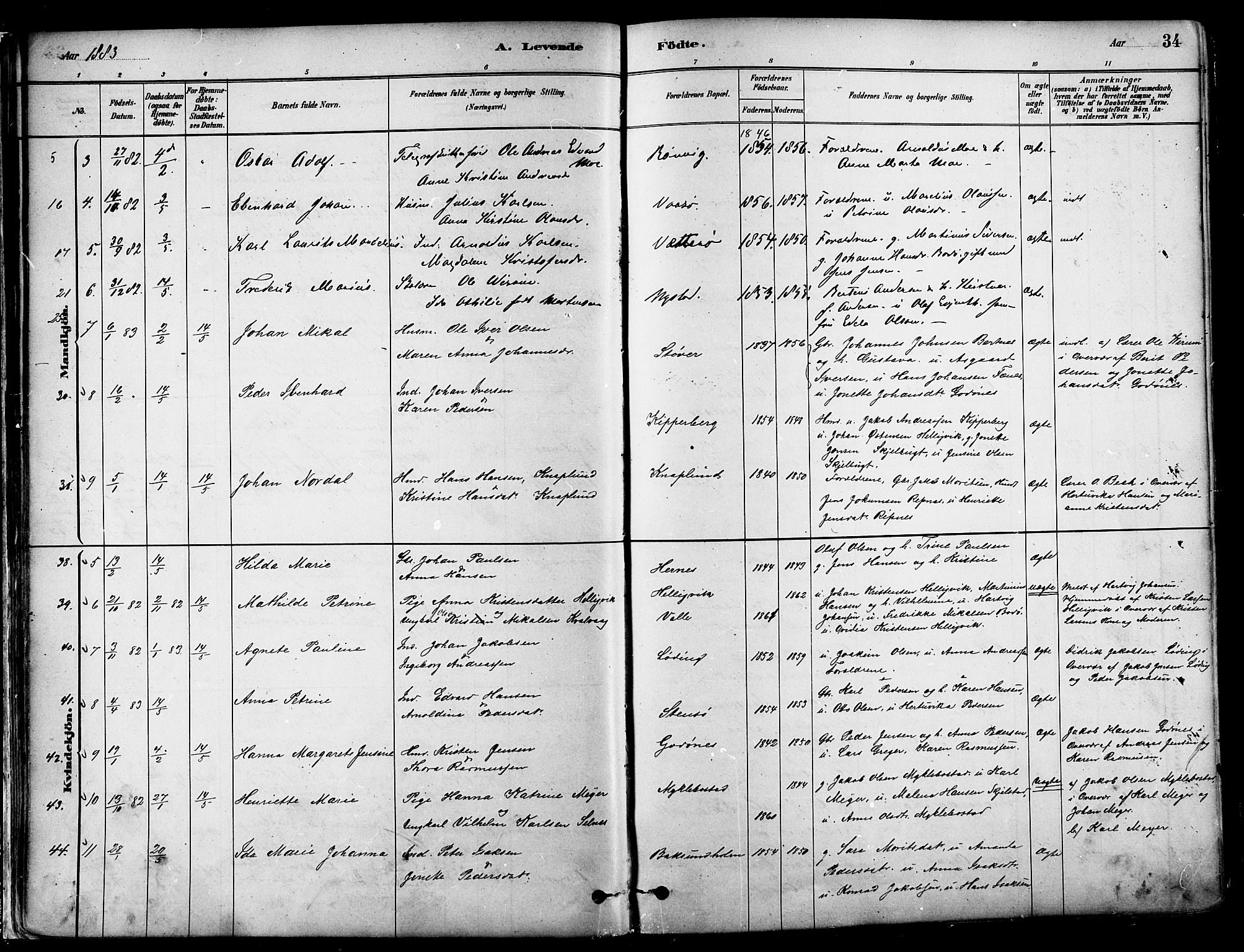 Ministerialprotokoller, klokkerbøker og fødselsregistre - Nordland, SAT/A-1459/802/L0054: Ministerialbok nr. 802A01, 1879-1893, s. 34